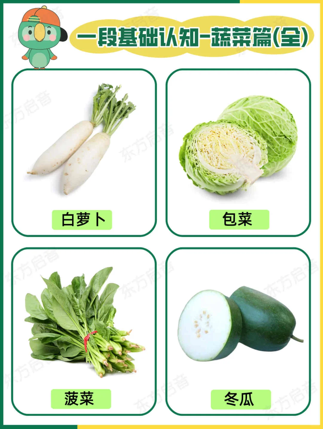 ?自闭症宝宝一段基础认知｜蔬菜篇（全）?