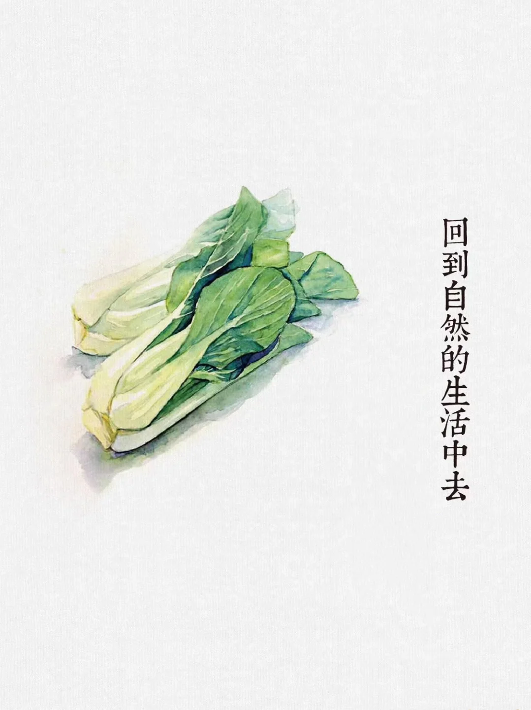 今天给蔬菜写文案：如果蔬菜会说话