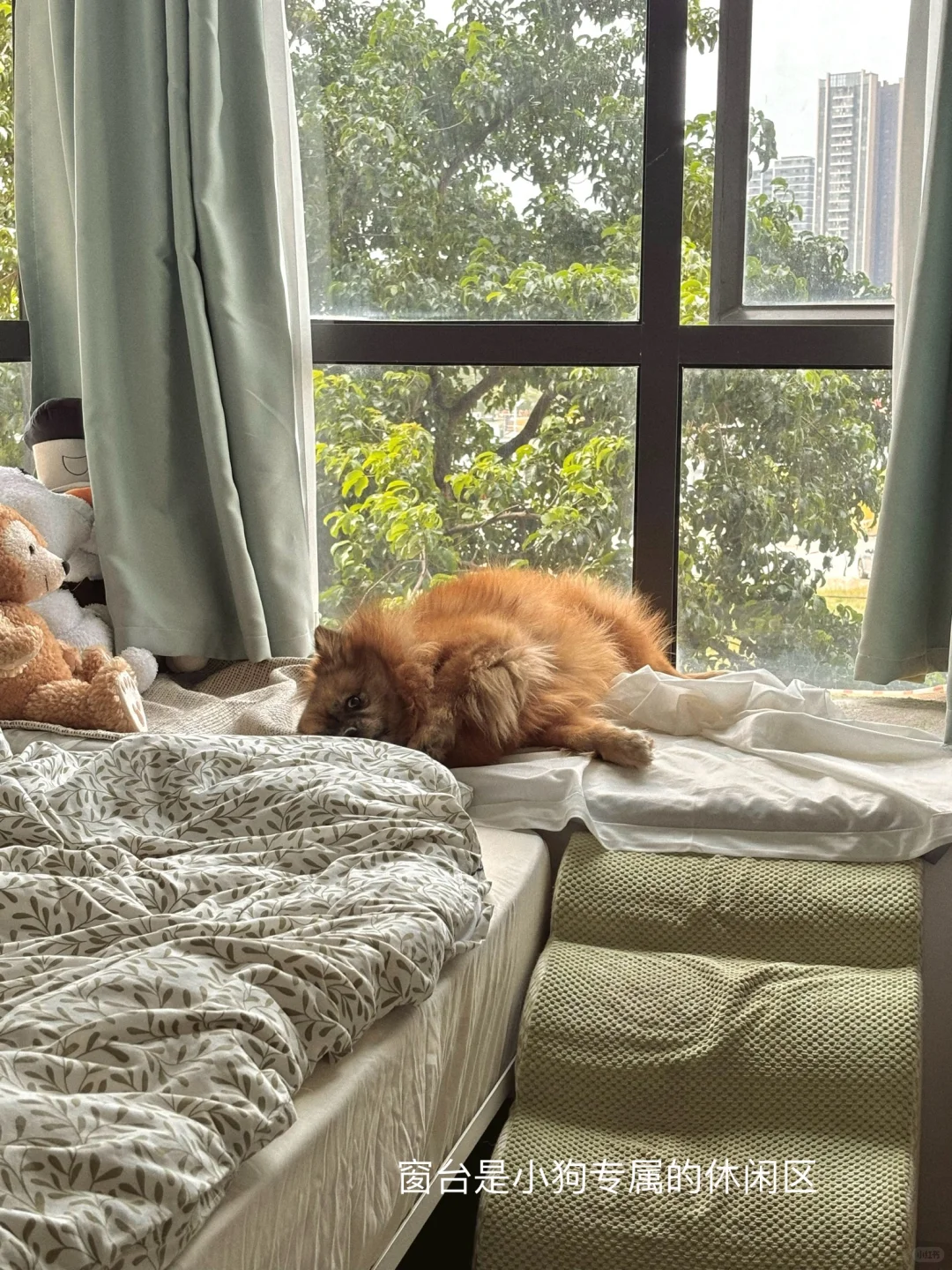 我用开放式衣柜打造了一个伪半包围卧室?