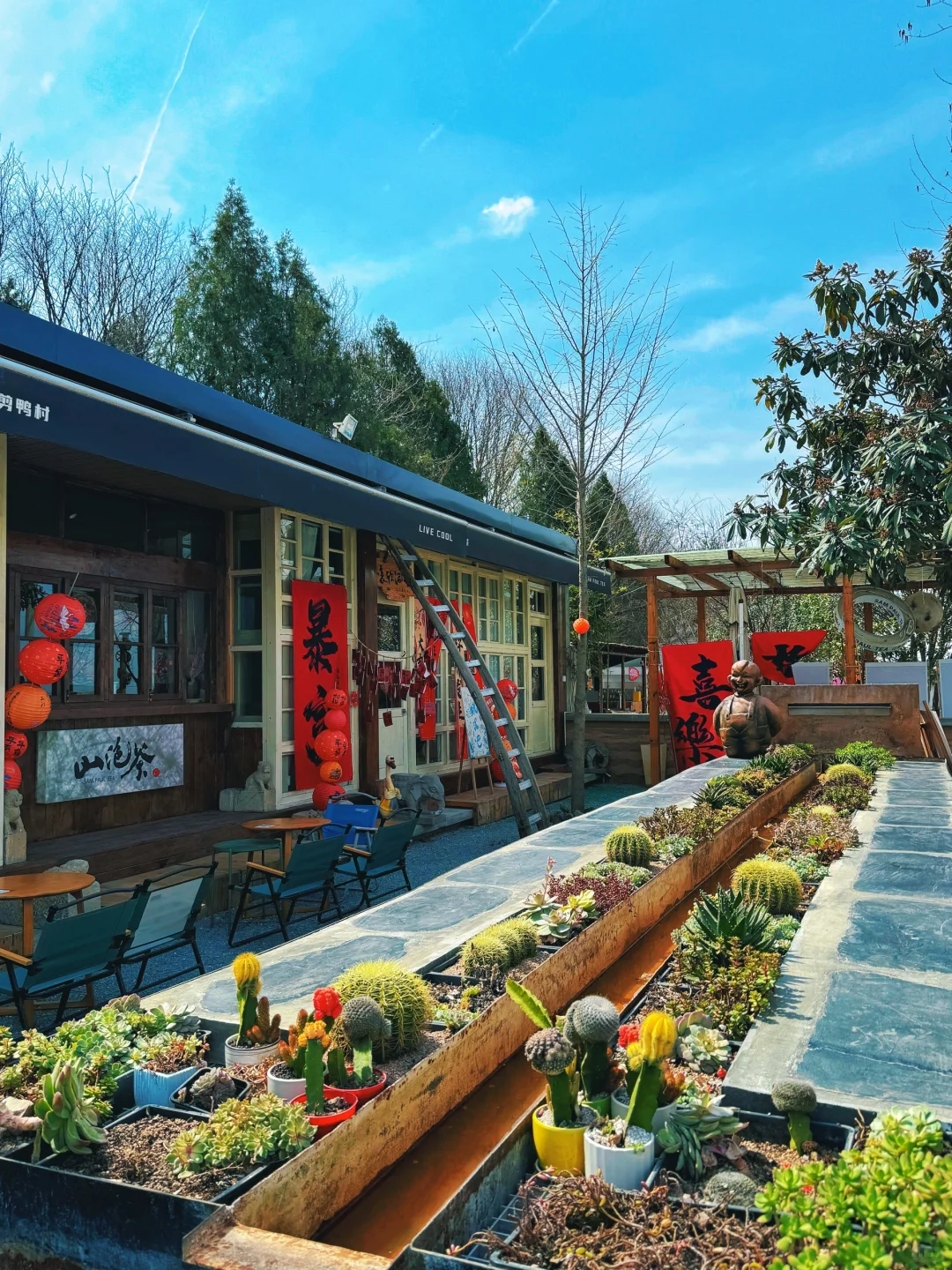 周末去哪|西安周边|超“减压”的city walk!