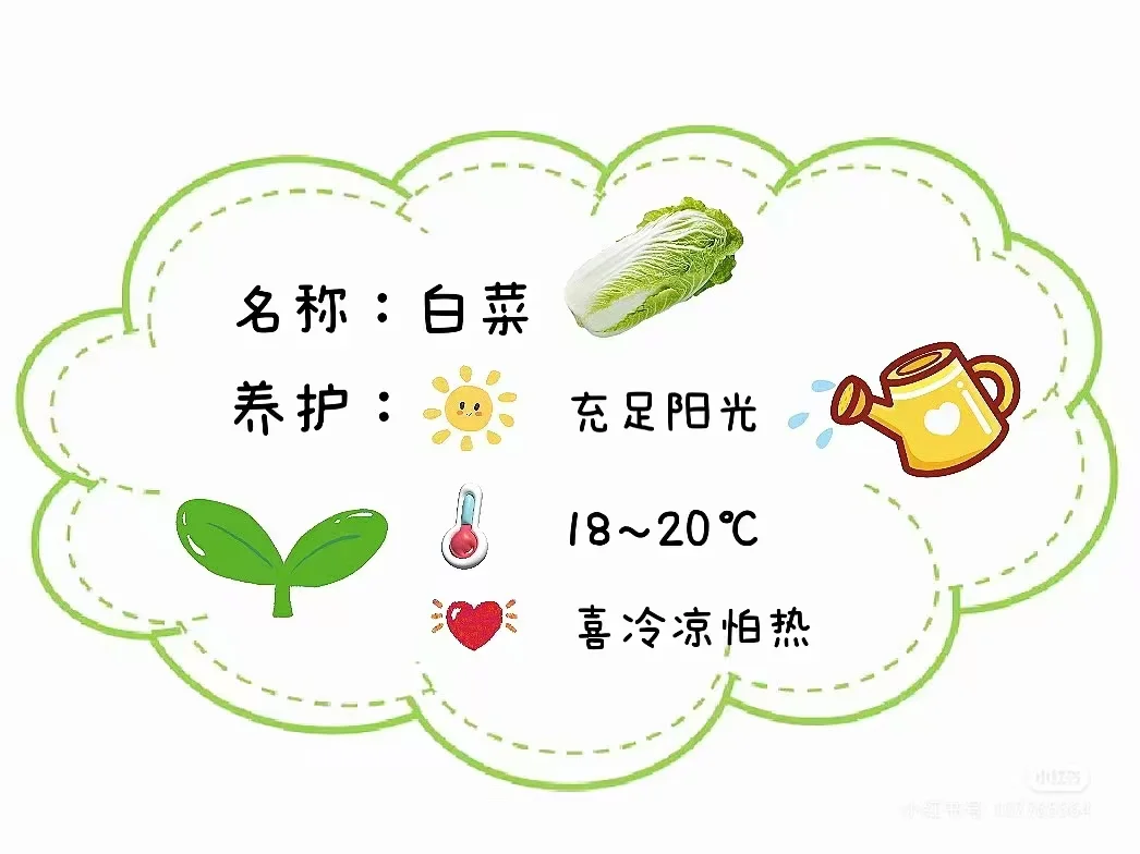 蔬菜养护招牌