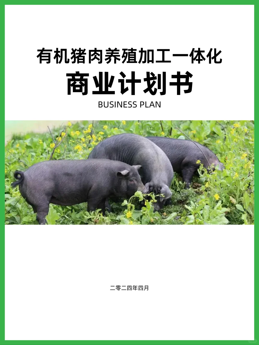 有机猪肉养殖畜牧加工产业基地商业计划书
