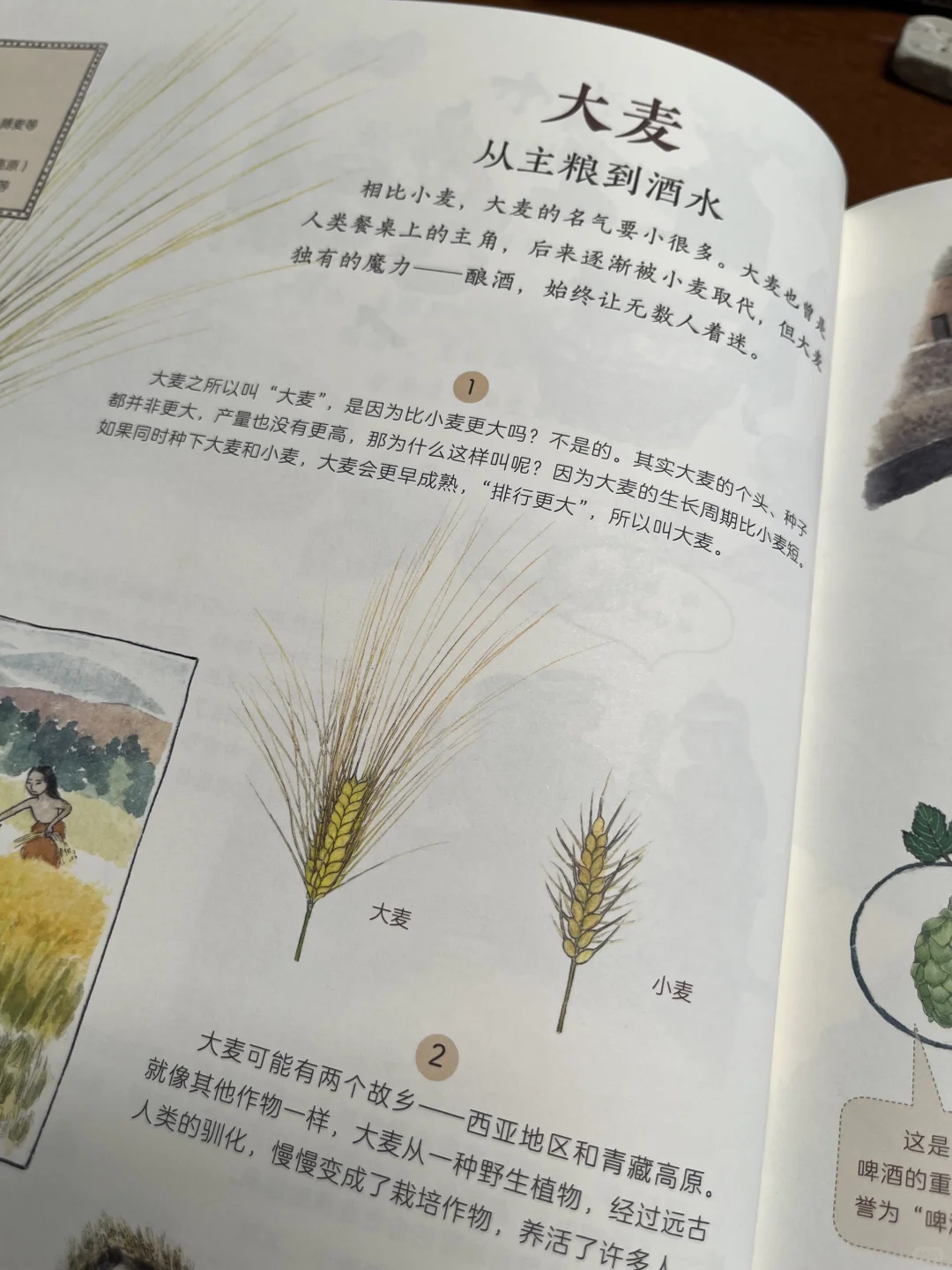 非常棒的一本作物科普书,中餐的秘密在这里