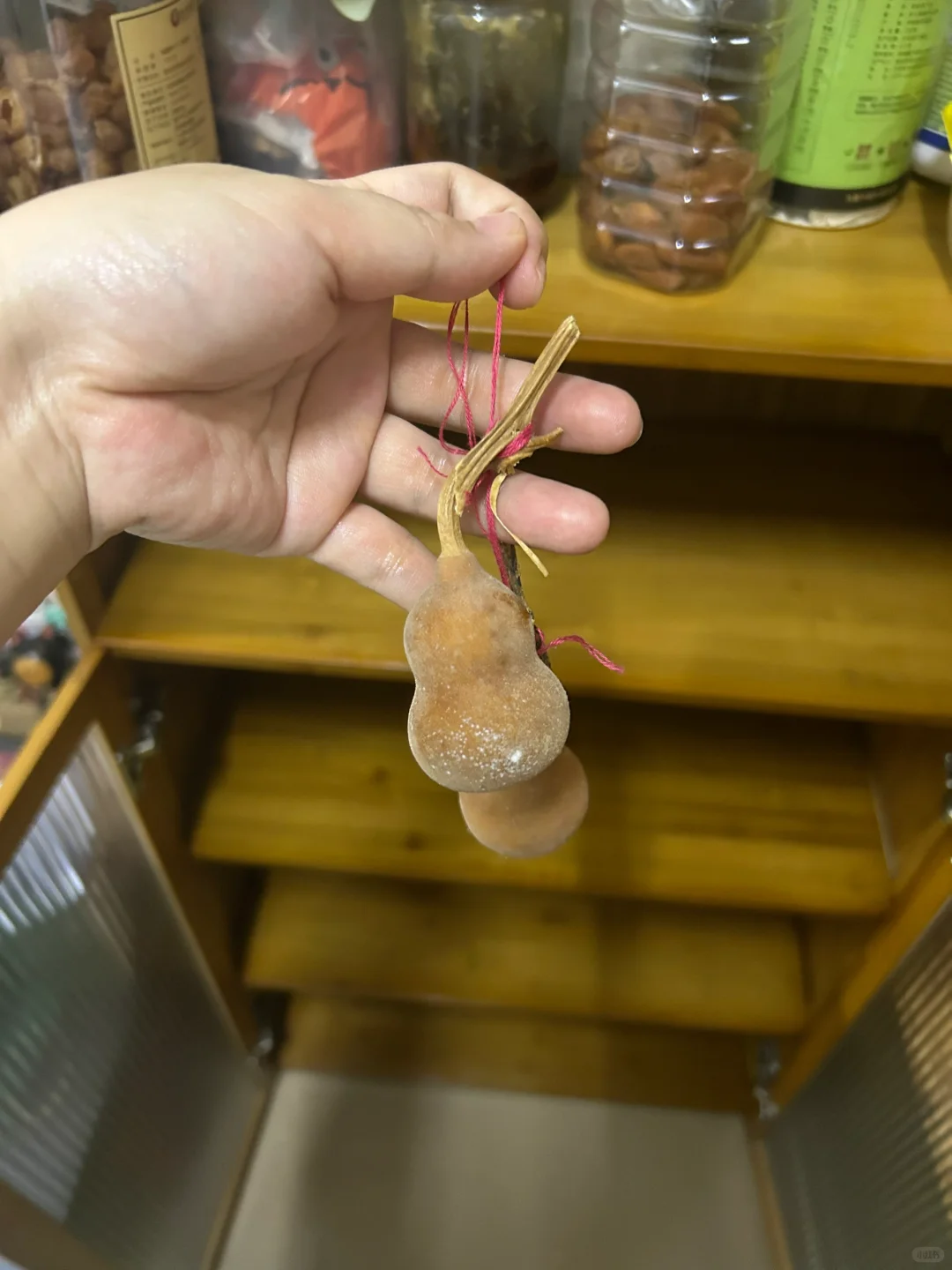 广东到底有多湿！！！