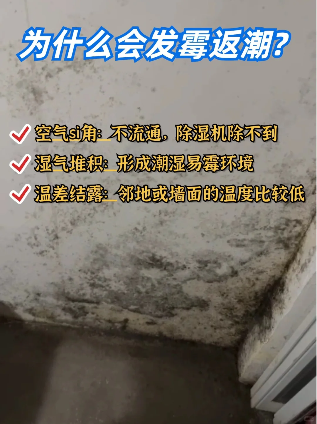 墙面返潮发霉，怎么解决？