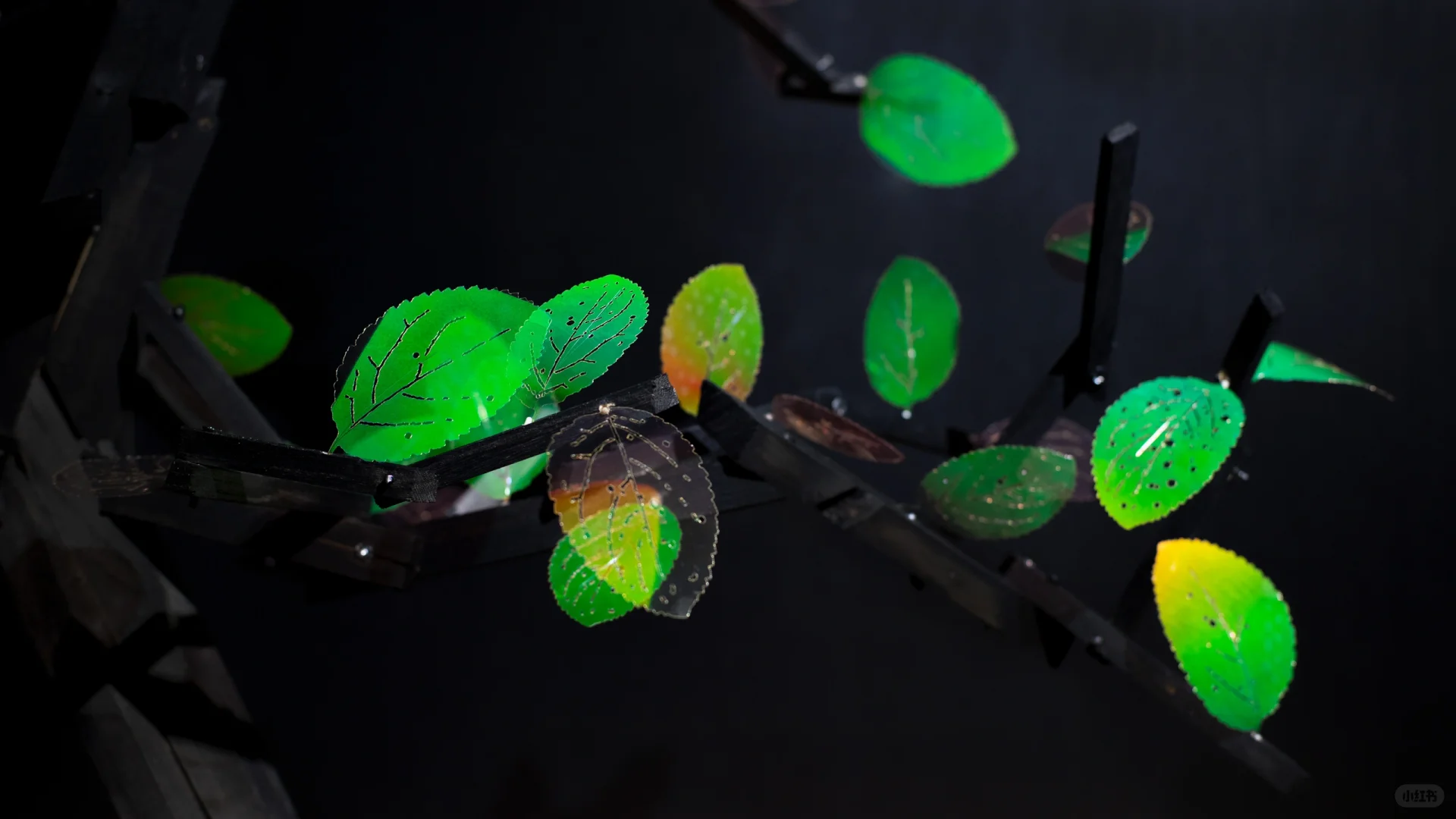 全息艺术实验室的《显籽图》 ，2023年