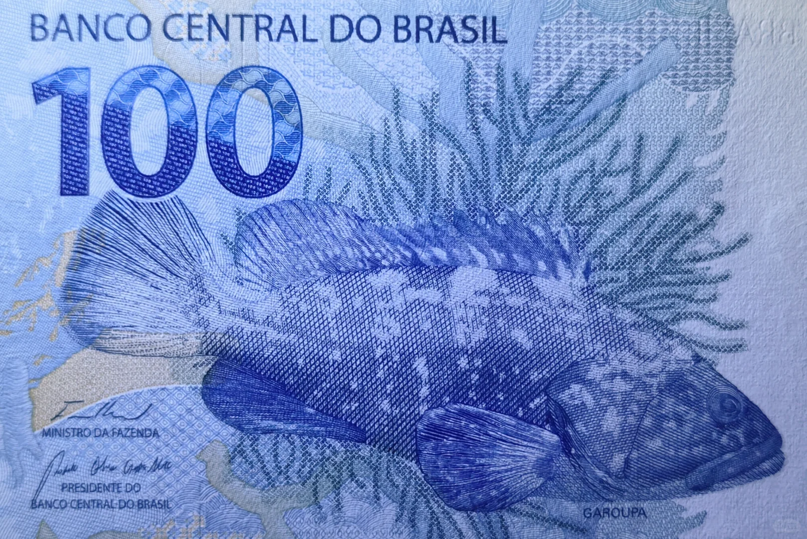 每日一钞:巴西100雷亚尔纸币