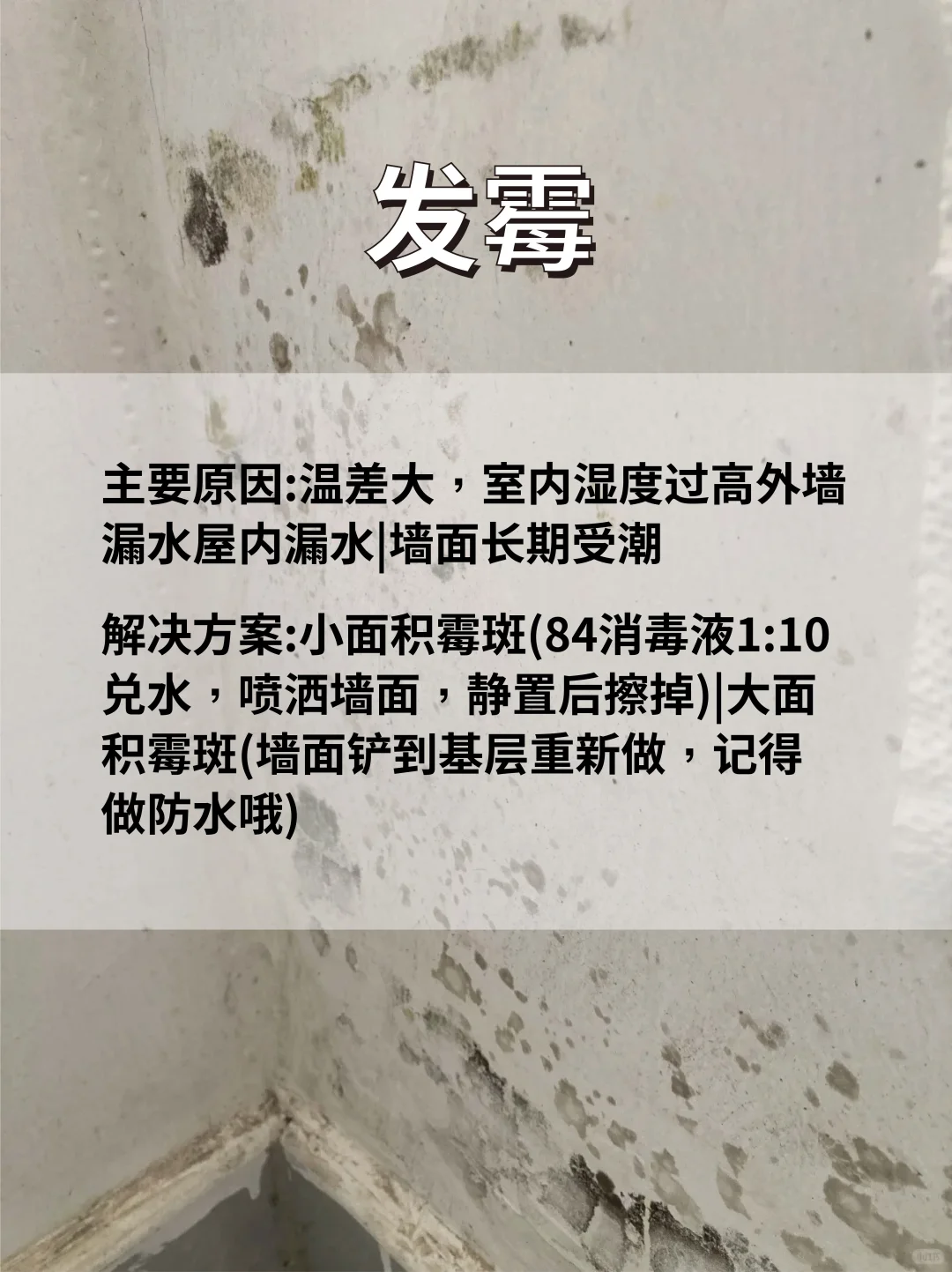 墙面难题全解:鼓包开裂起皮速修!