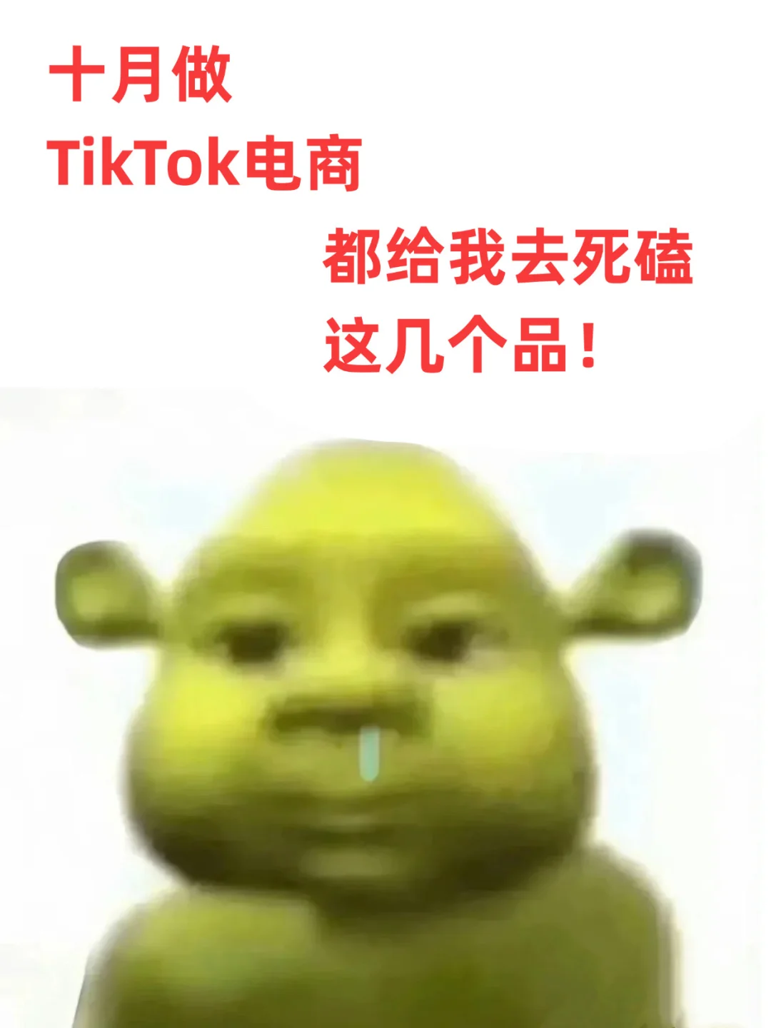 十月做Tiktok电商都给我死磕这几个品!
