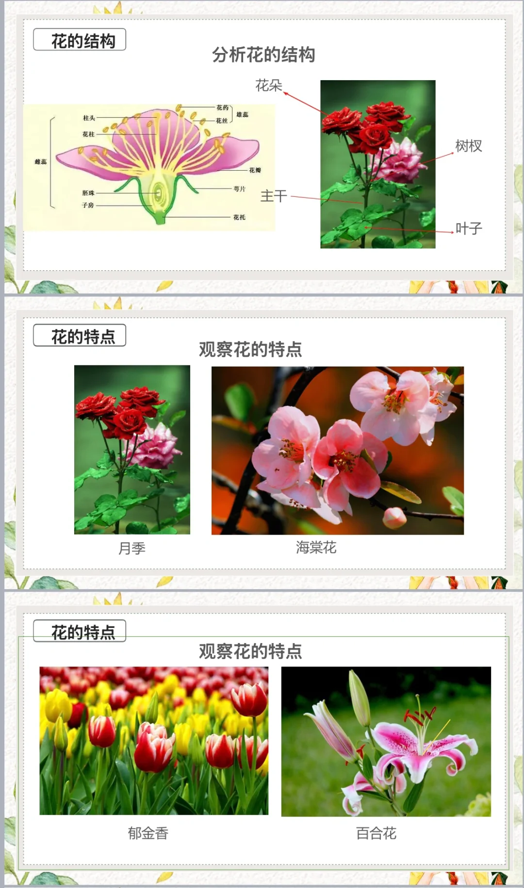 什么？你不相信这是小学生做的？