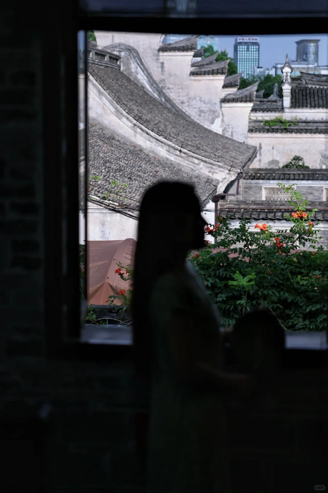 宁波新展｜芊编万化，一棵草的浪漫