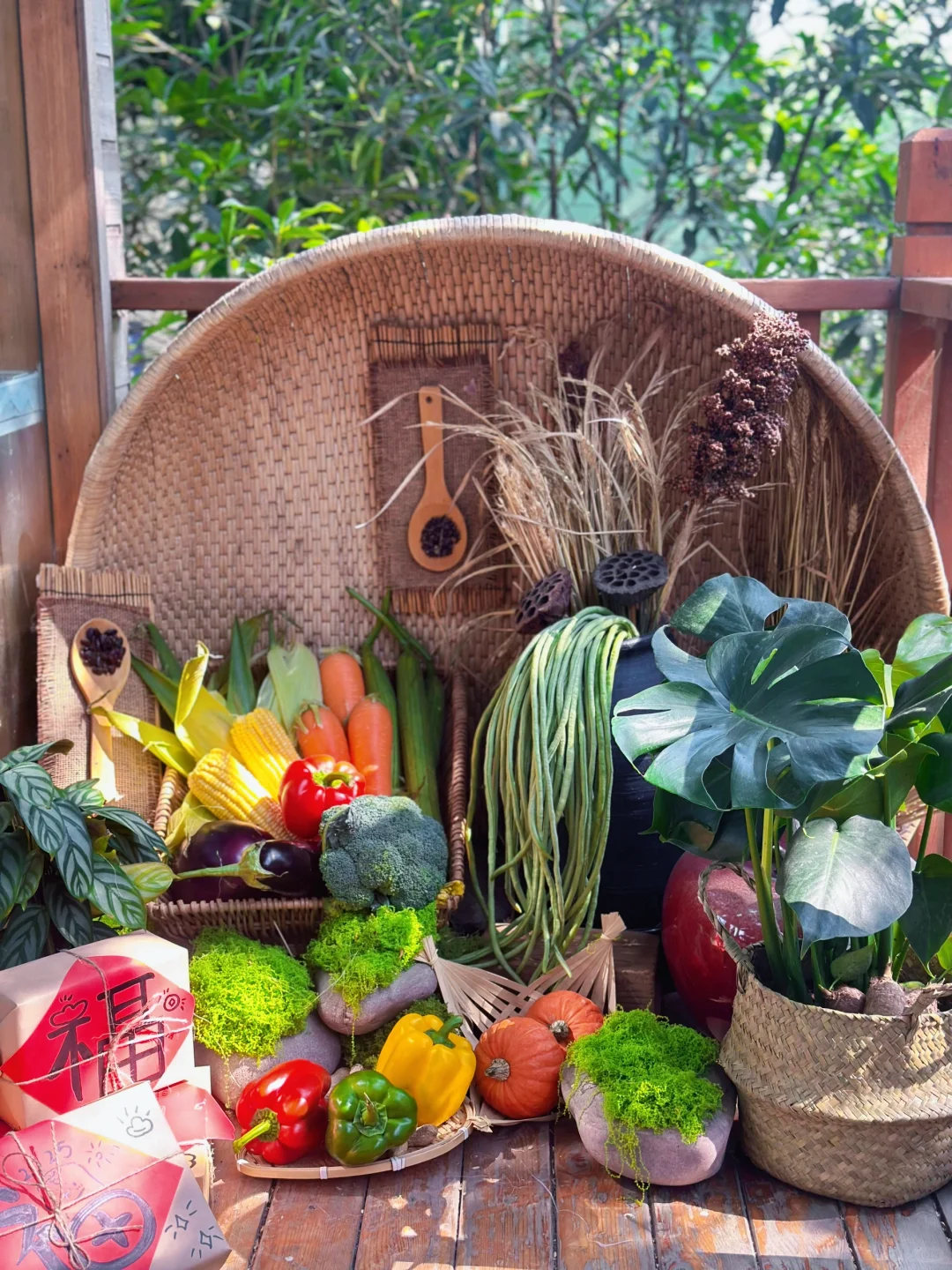 蔬菜瓜果的聚会