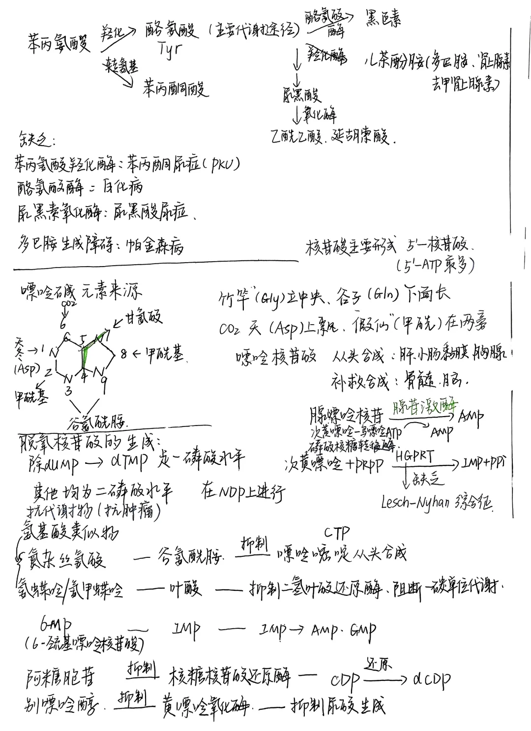 生物化学|笔记合集
