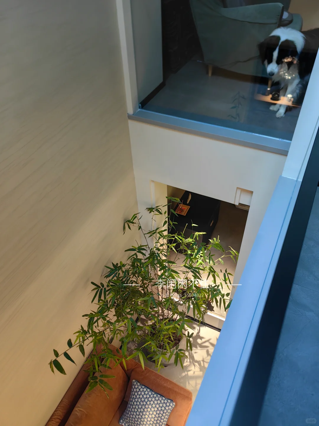 地下室装修中防潮防霉又有肌理感的墙面涂料