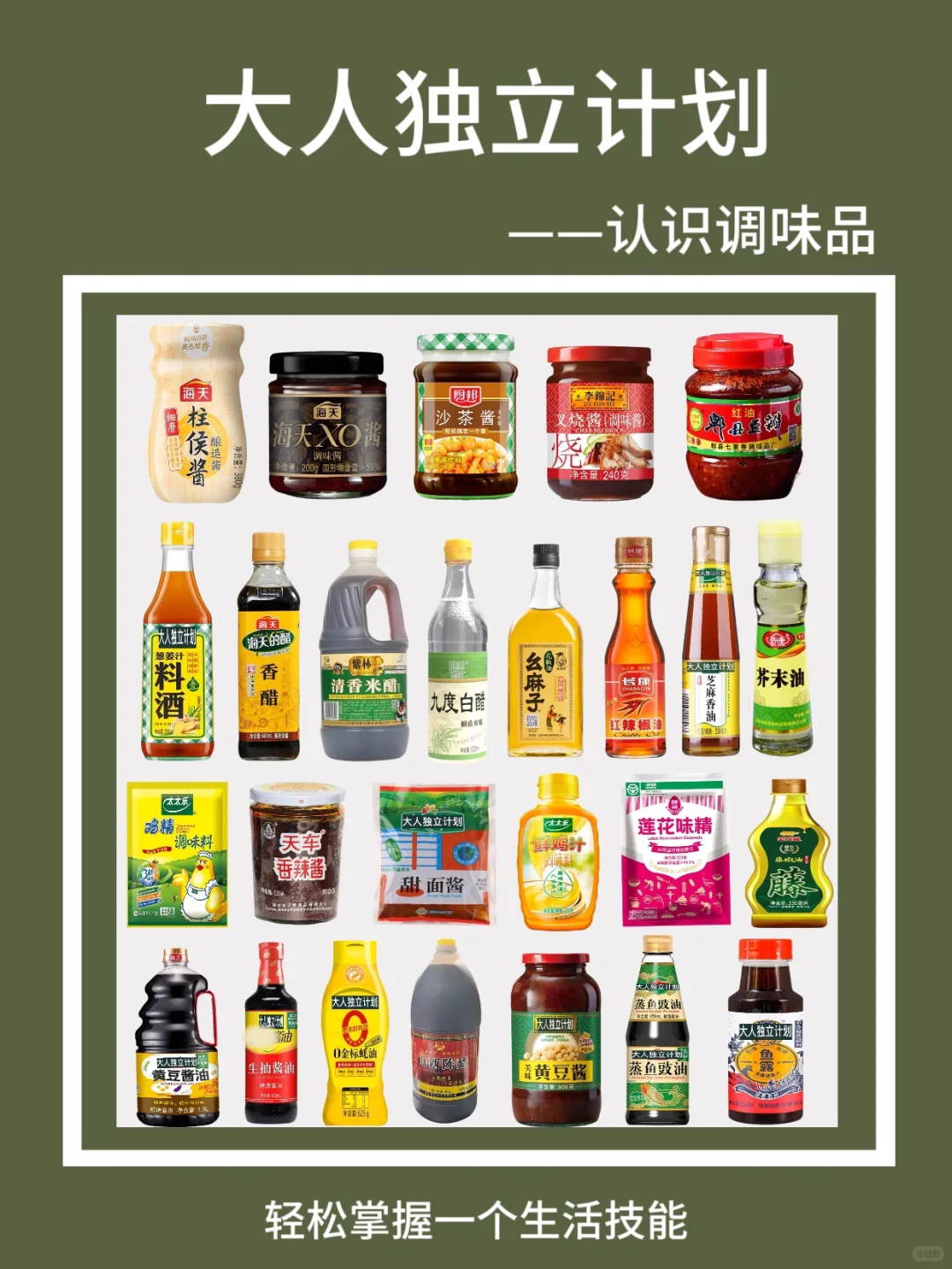 大人独立计划——认识调味品