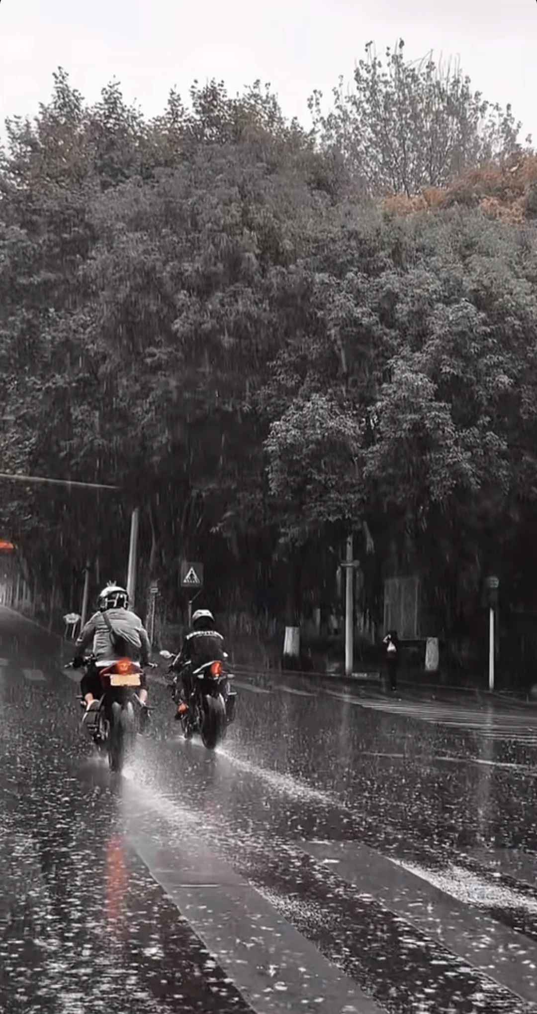 ?新手摩托车入门保姆级教程|?️