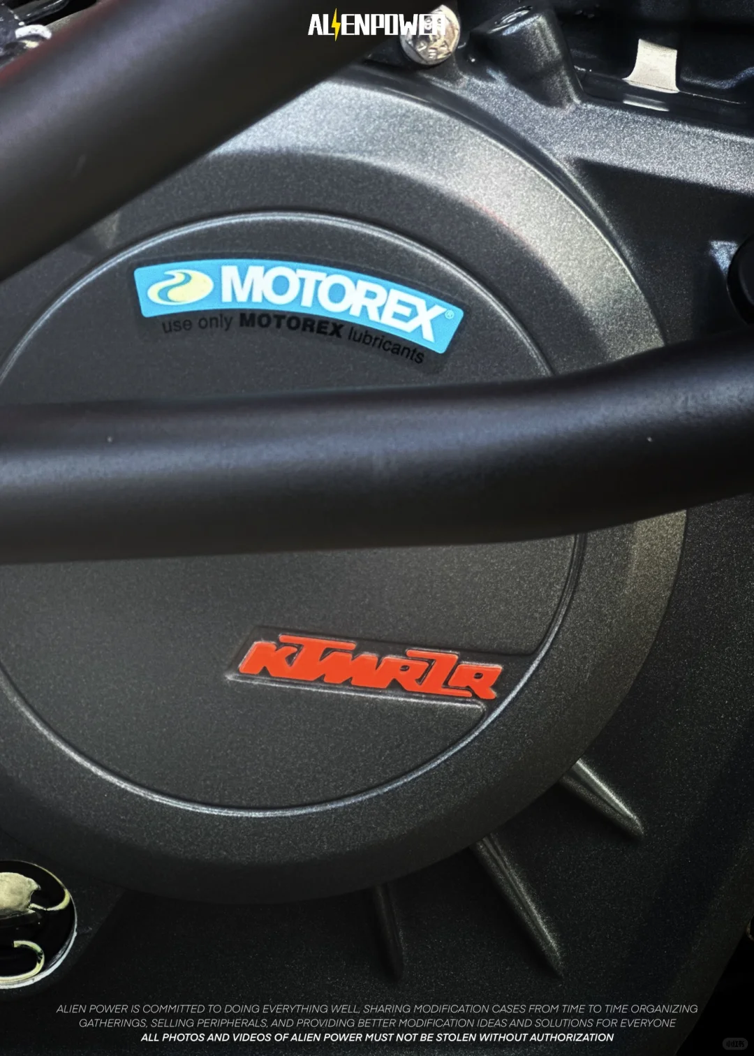 【车友案例】捕获一只野生的kt猫