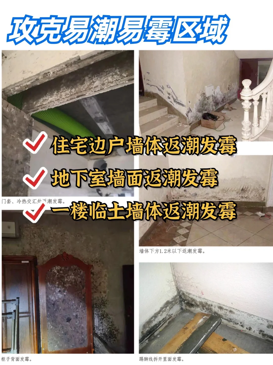 墙面返潮发霉，怎么解决？