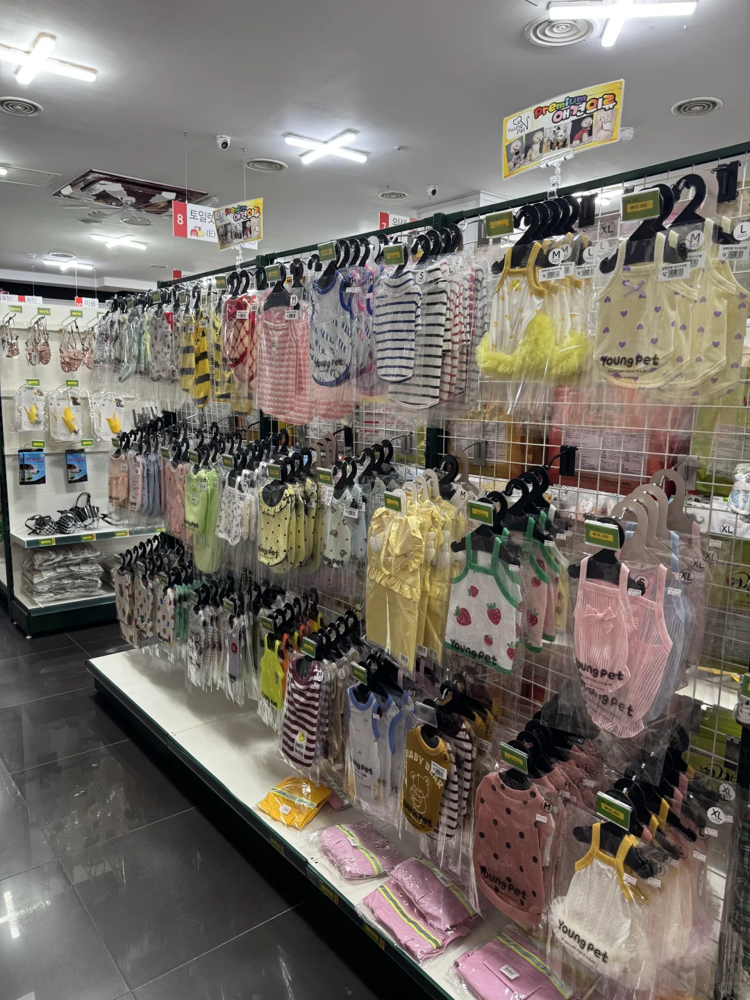 养狗人济州岛打猎攻略?勇闯?家店宠物店！