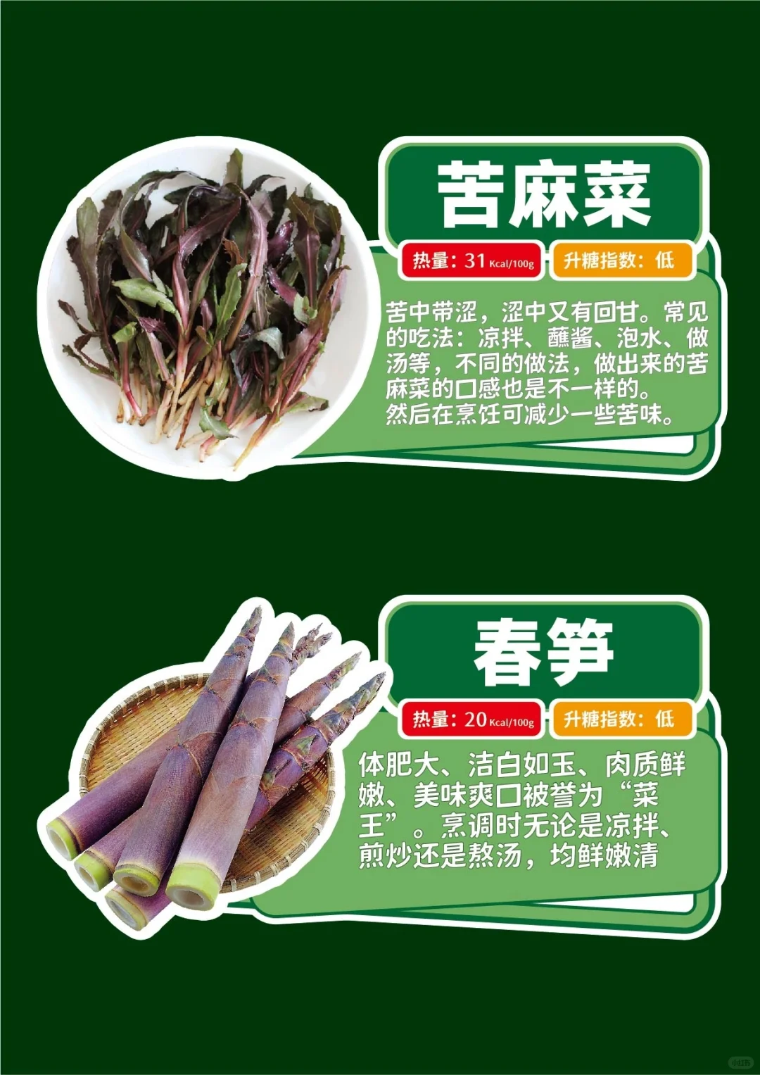 春季时令野菜手举牌