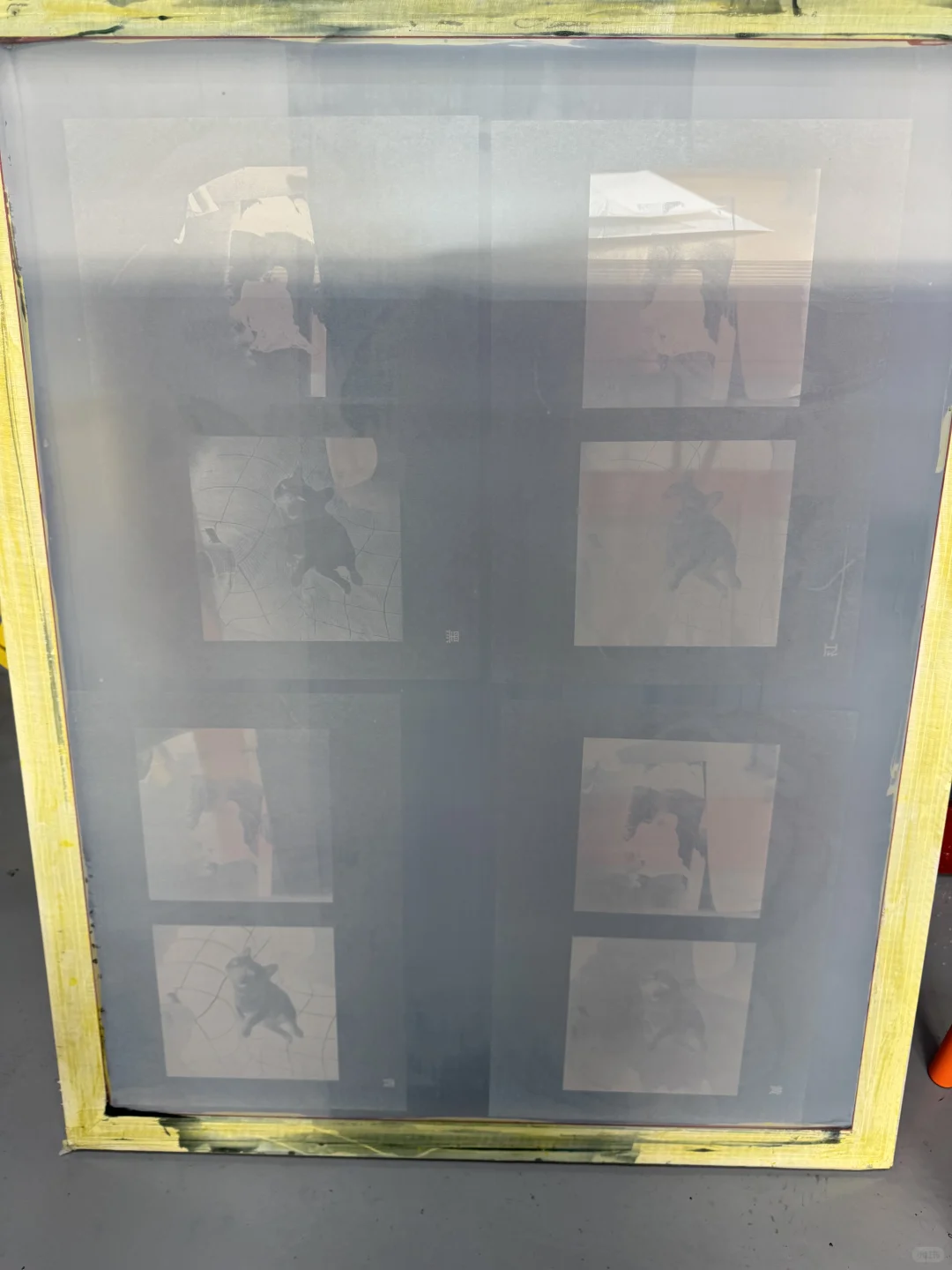 这照片的质感是自己能印出来的?!?