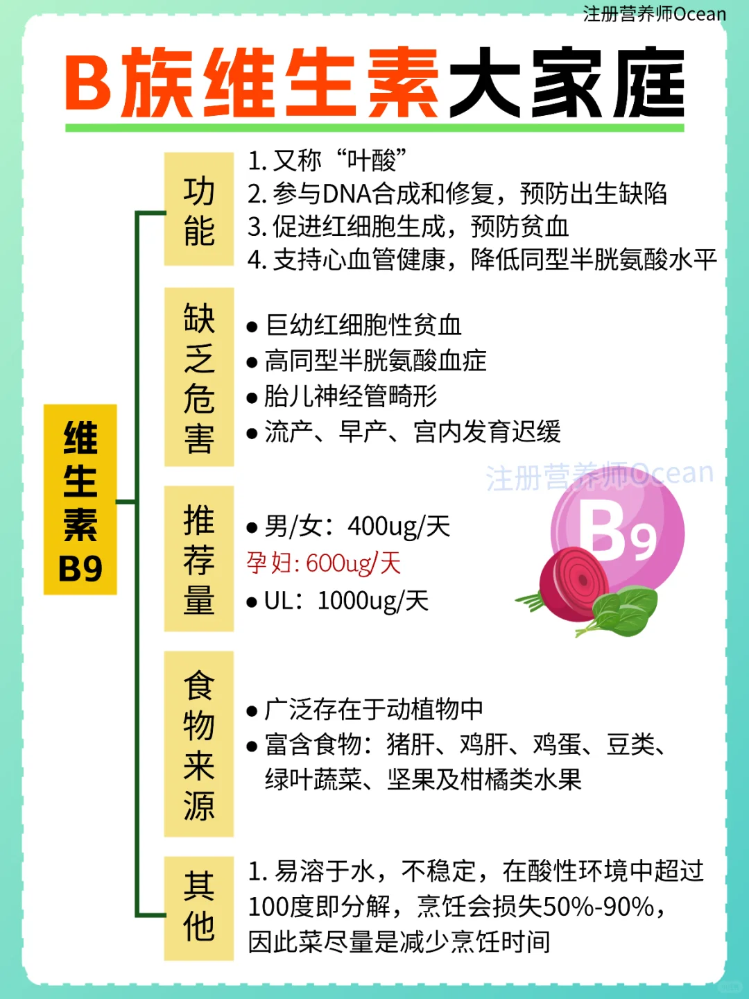 一篇全了解丨强大的B族维生素