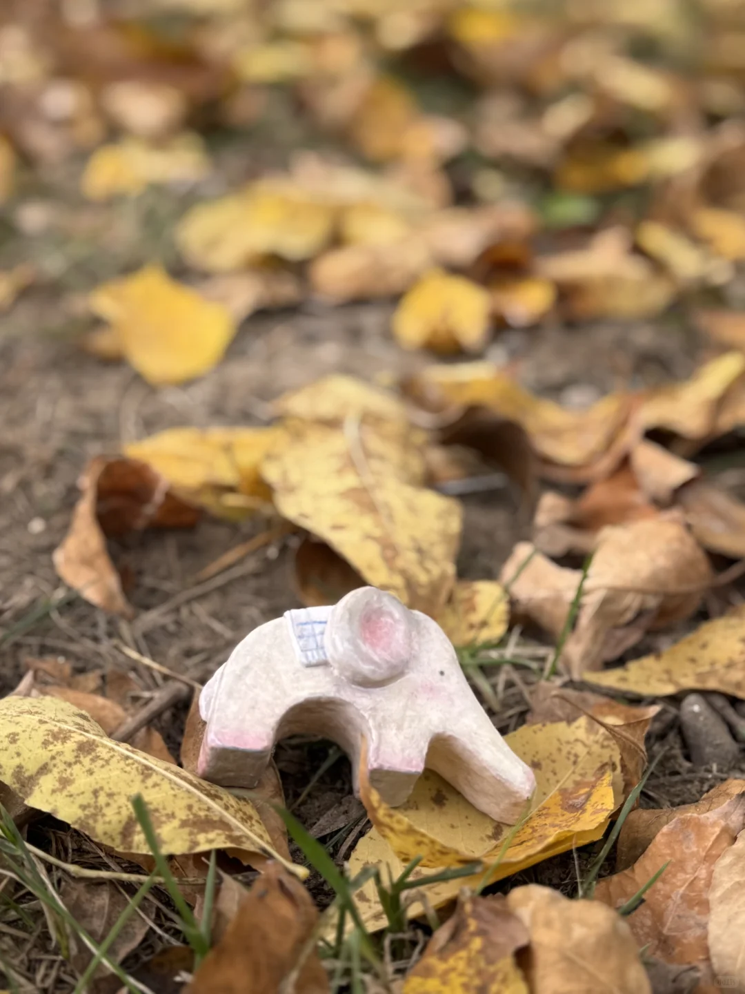 大象滑梯，指尖上的游乐园