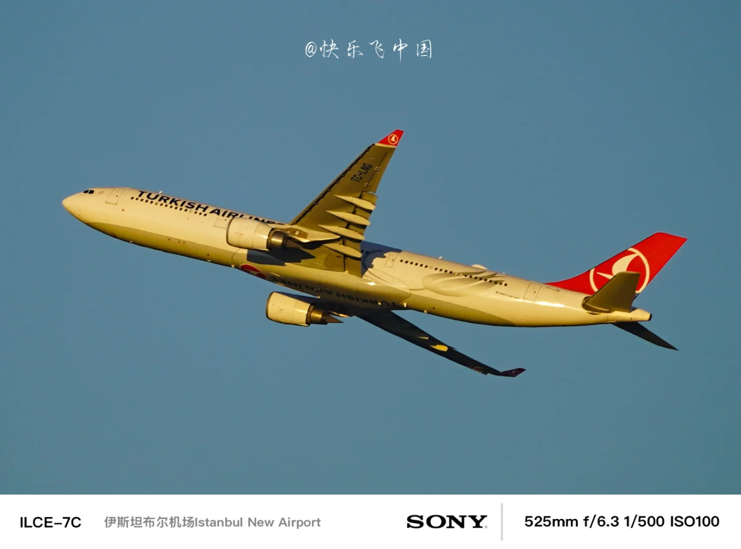 天马航空的A333宽体梦，土耳其航空，“圆了”❗️