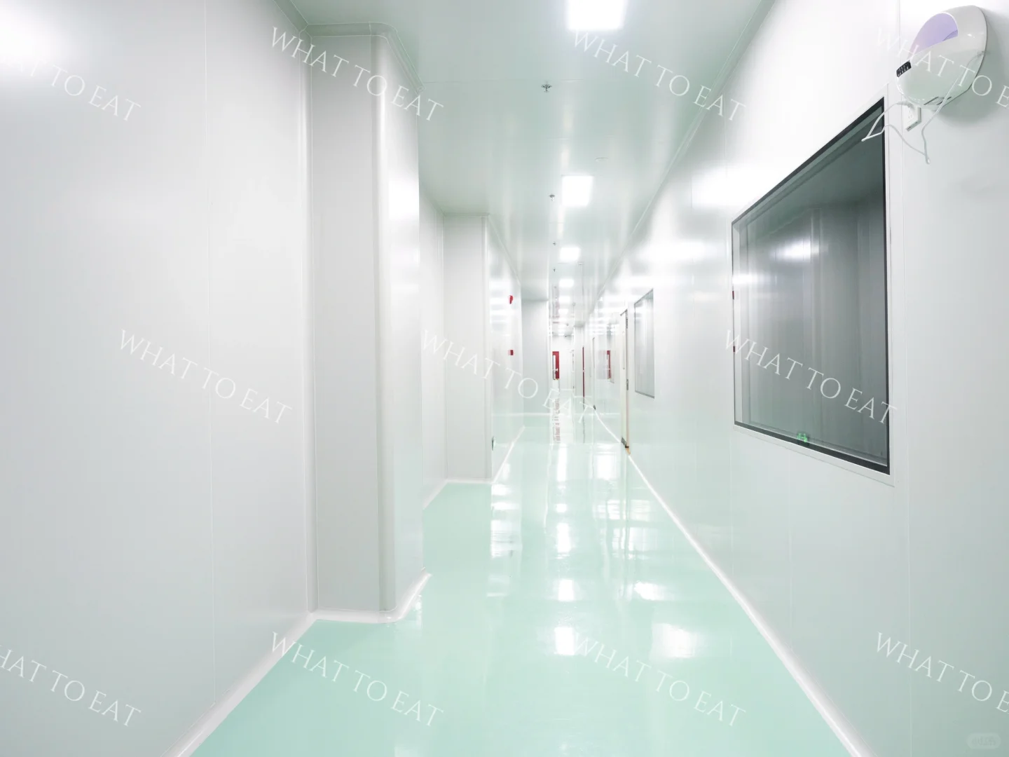 2000㎡中央厨房长这样！太干净了不像做饭的！