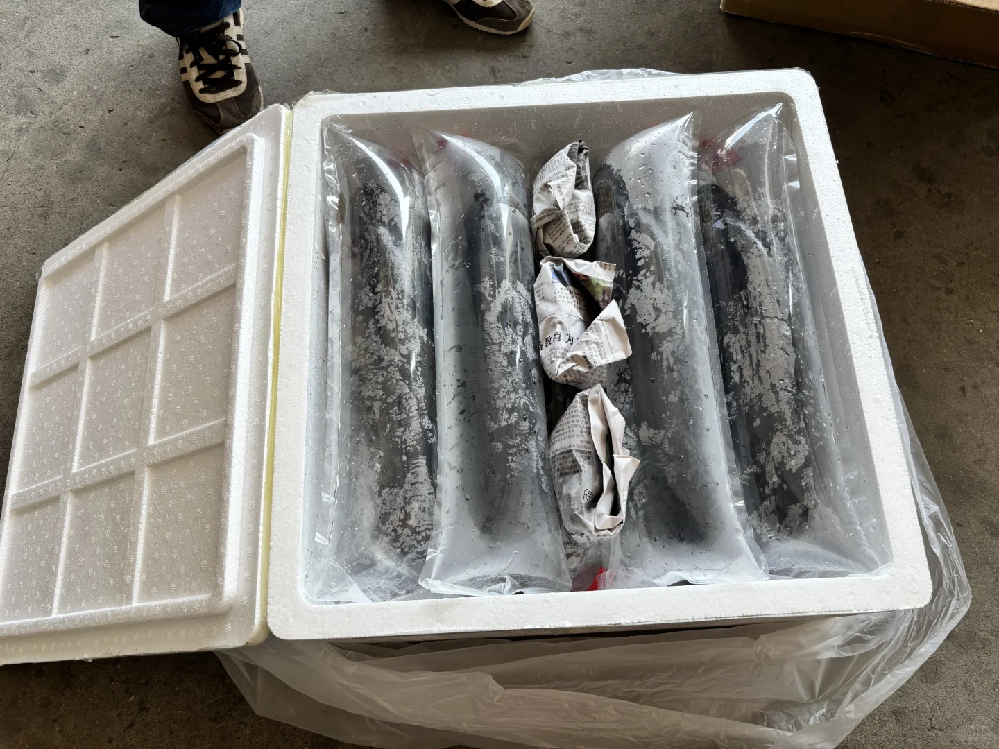 鲜活水产航空运输指南