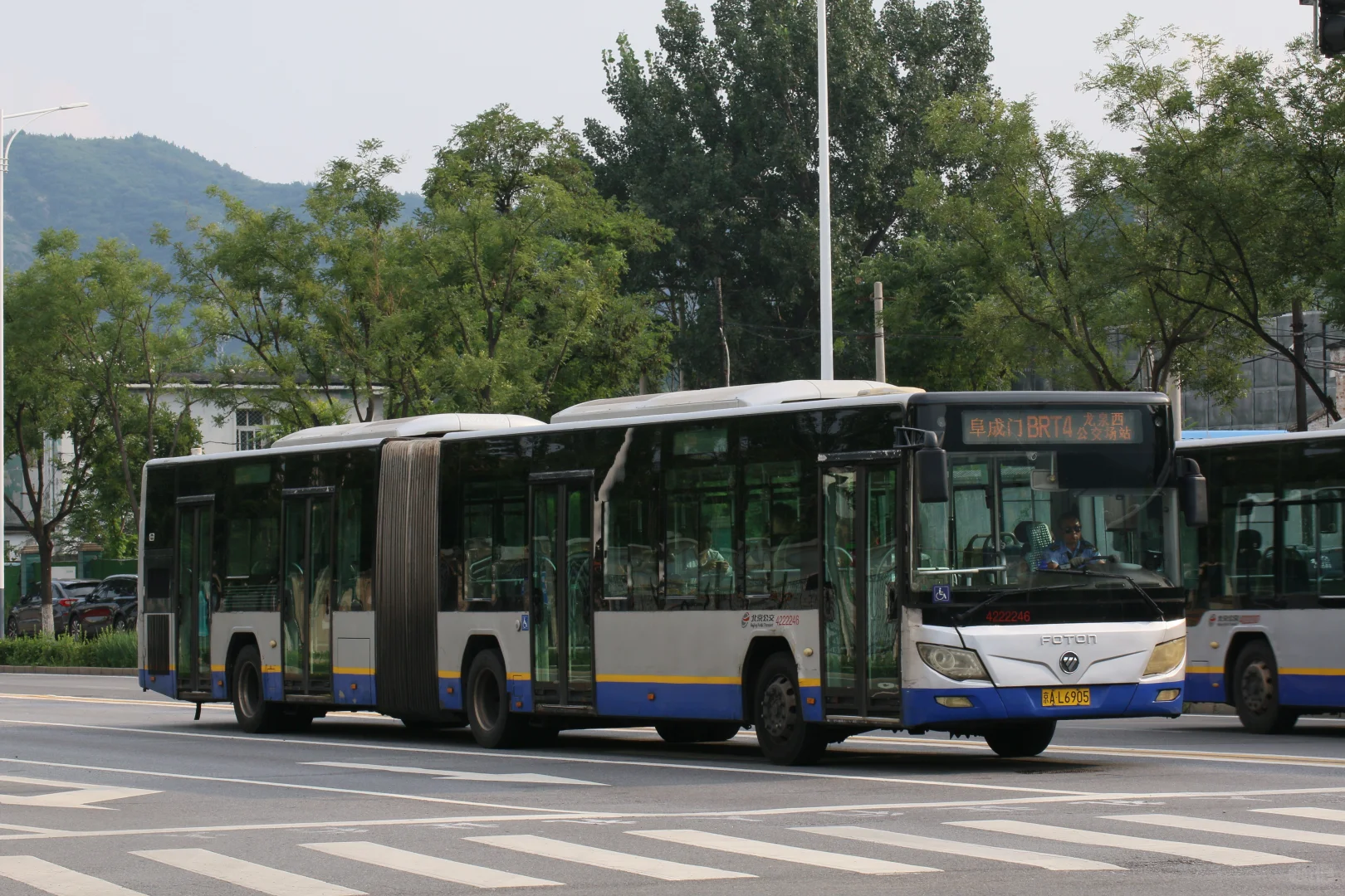 属于他们的最后一夏