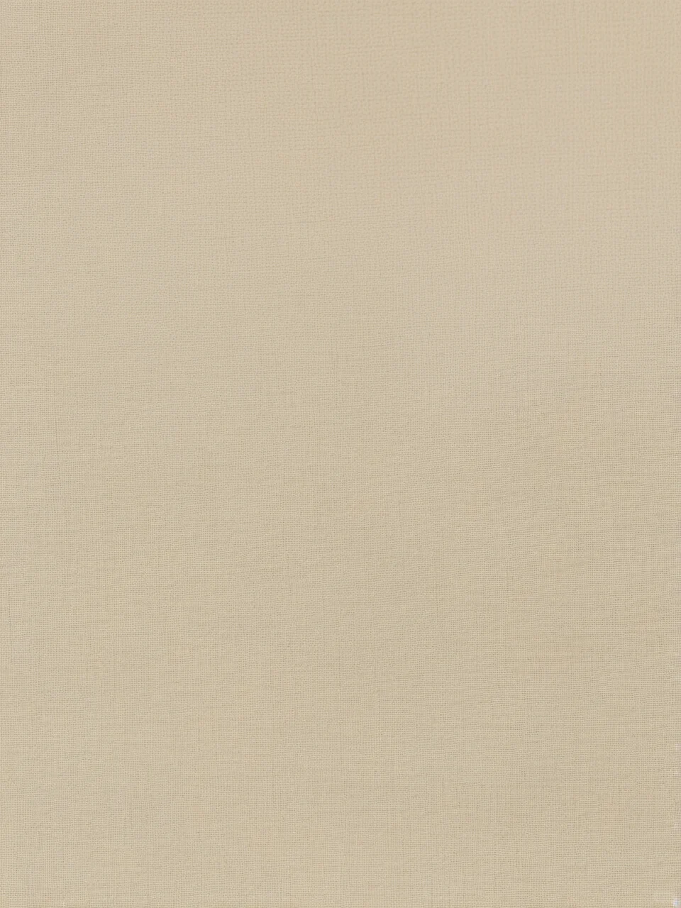 Day67｜米黄色布纹