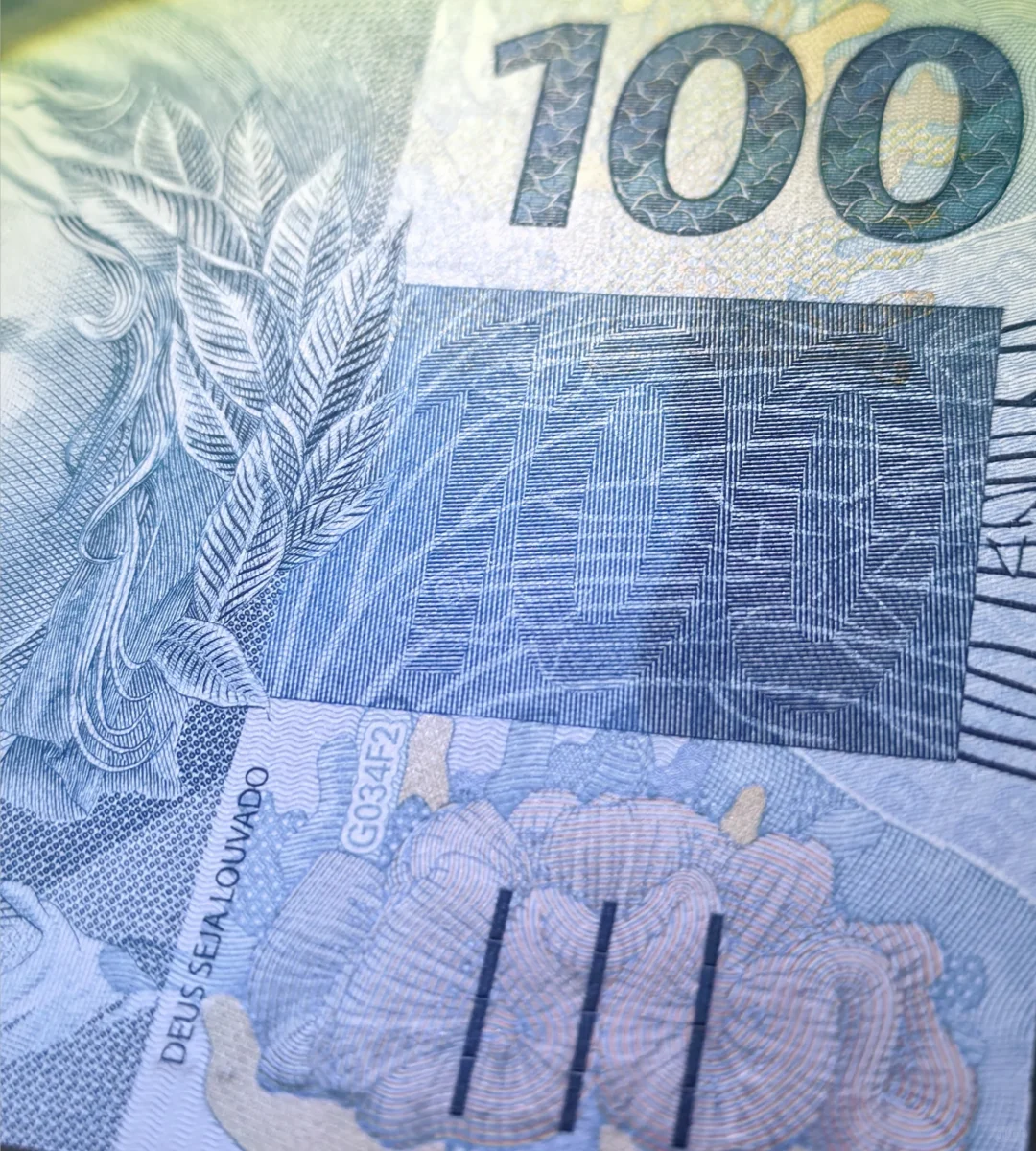 每日一钞:巴西100雷亚尔纸币