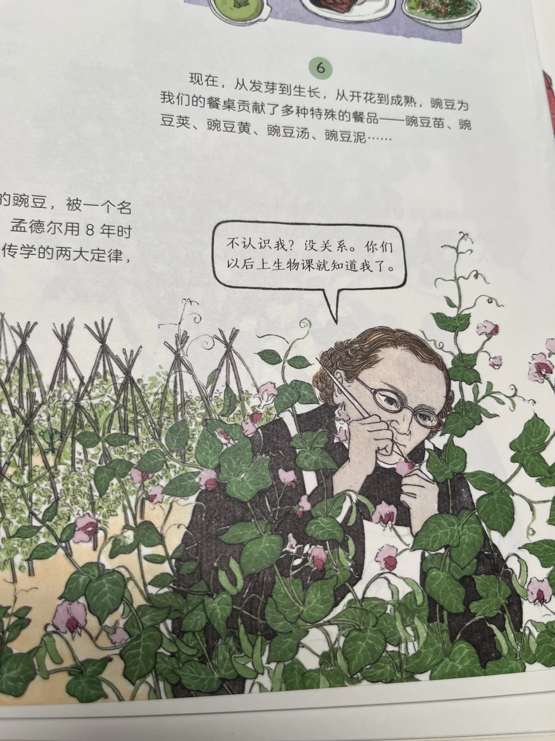 非常棒的一本作物科普书,中餐的秘密在这里