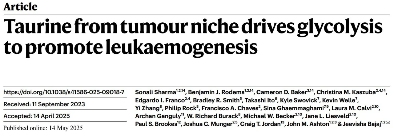 爱喝能量饮料,会促进白血病发展——牛磺酸