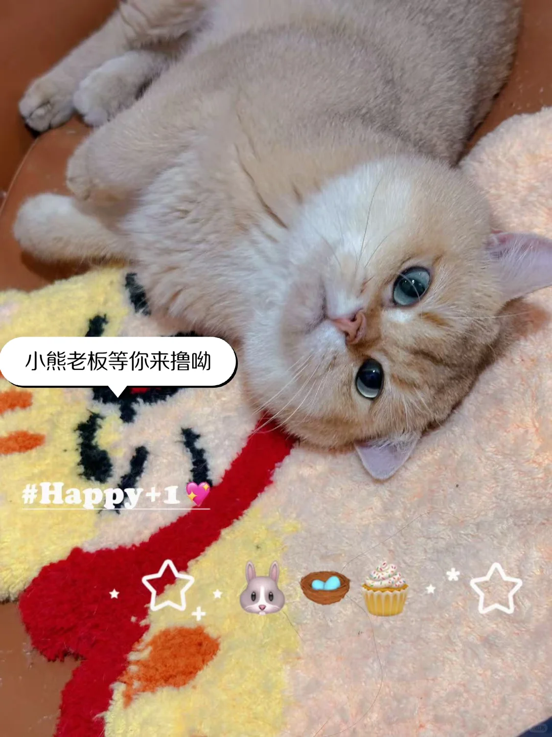 十一不用去景德镇也可以玩的手作店