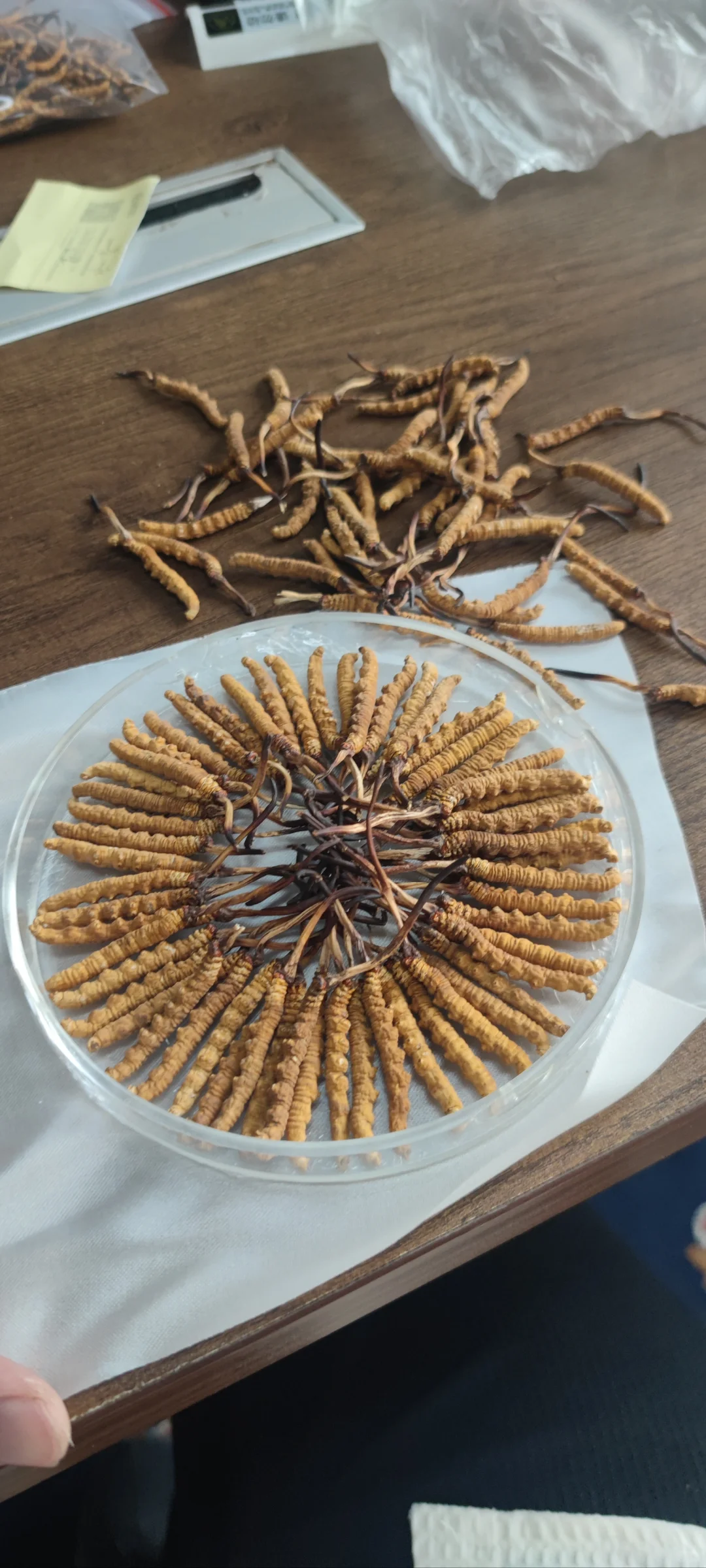 什么大草?为何选择大草