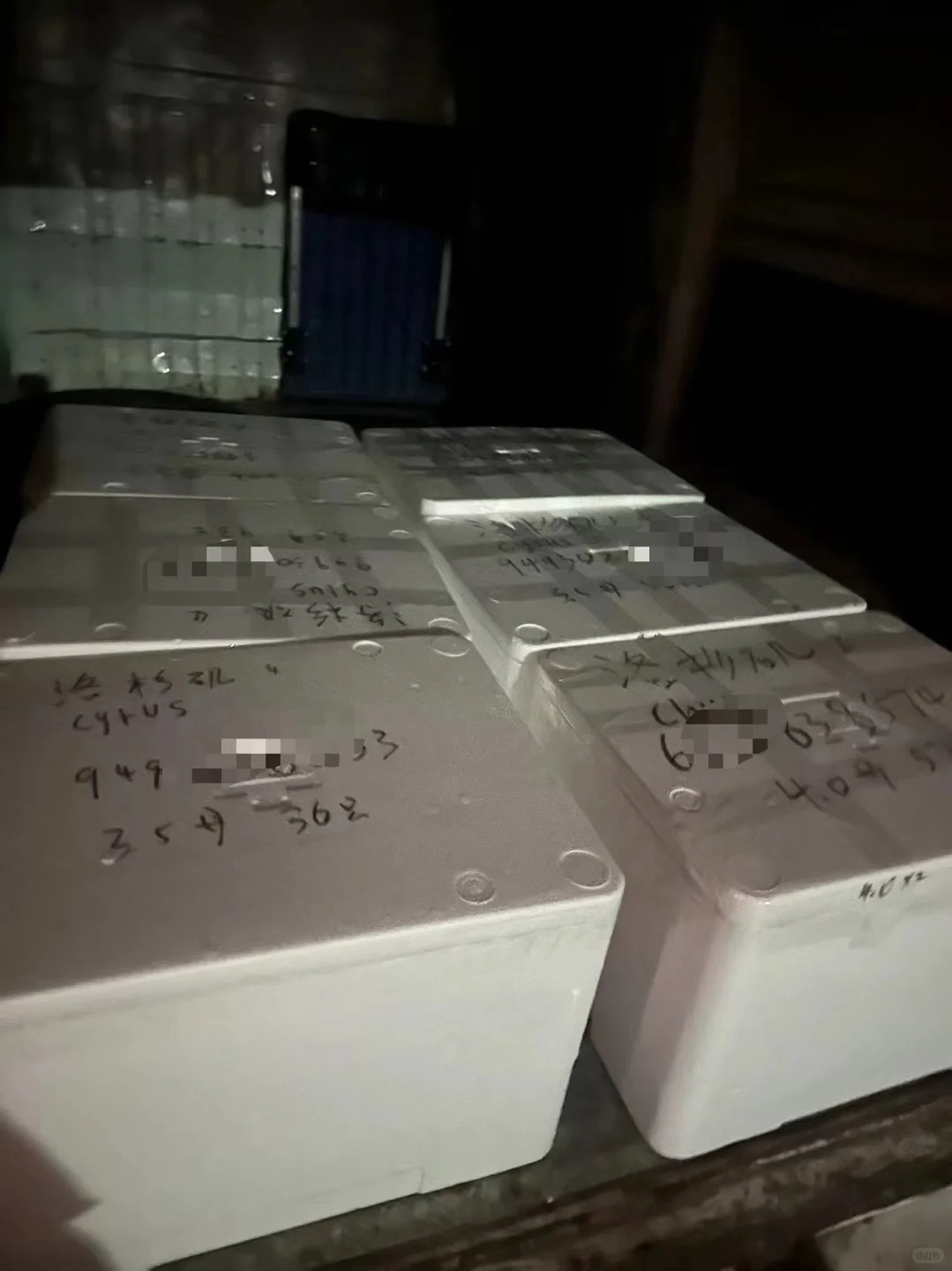 鲜活水产航空运输指南