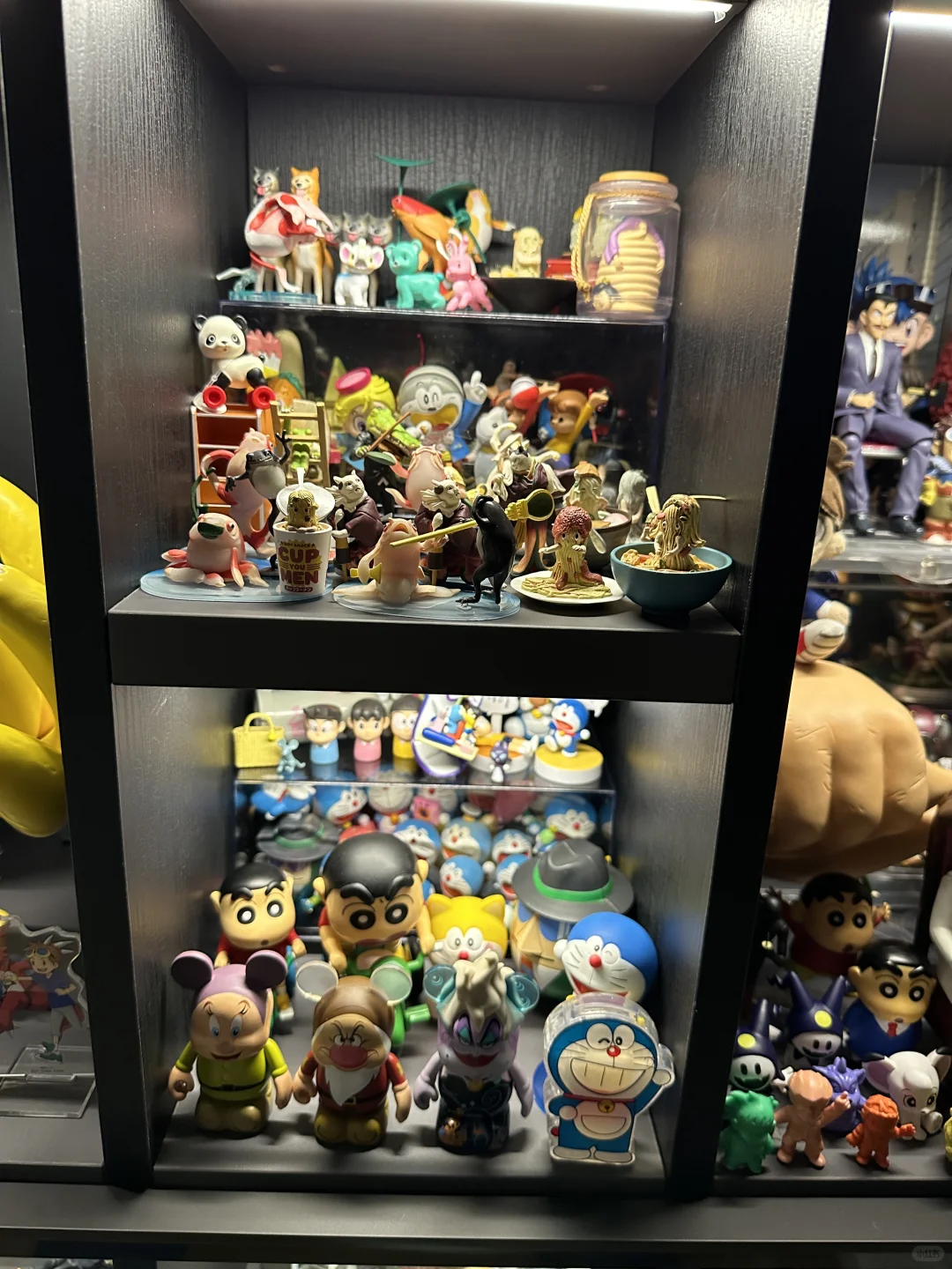 35岁独居男生的二次元痛柜❗️专属快乐❗️