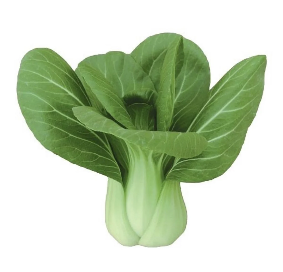 Day75 ·蔬菜?｜素材｜100天素材整理计划