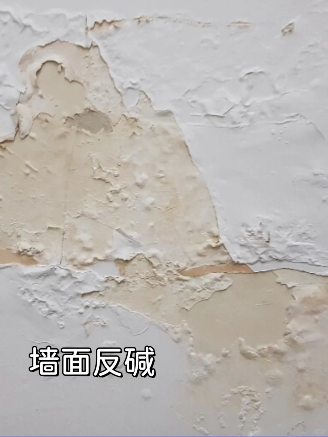 8种墙面常见问题➕解决方案