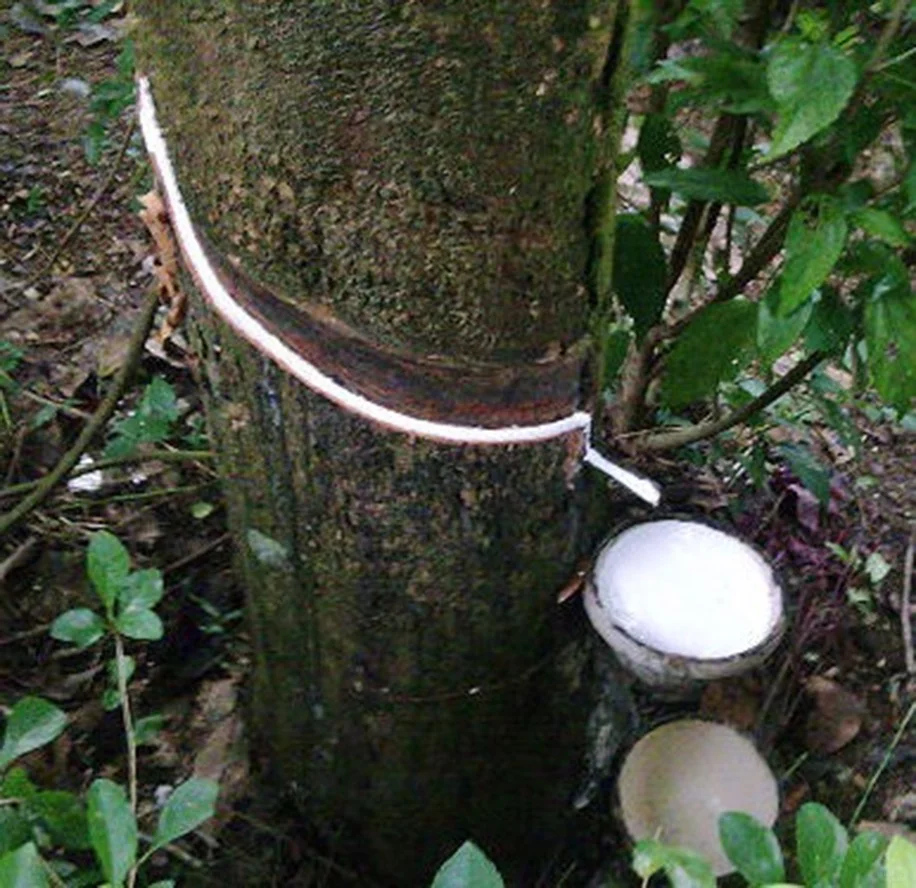 生化环材真的可怕？——当高分子遇见“高科技”