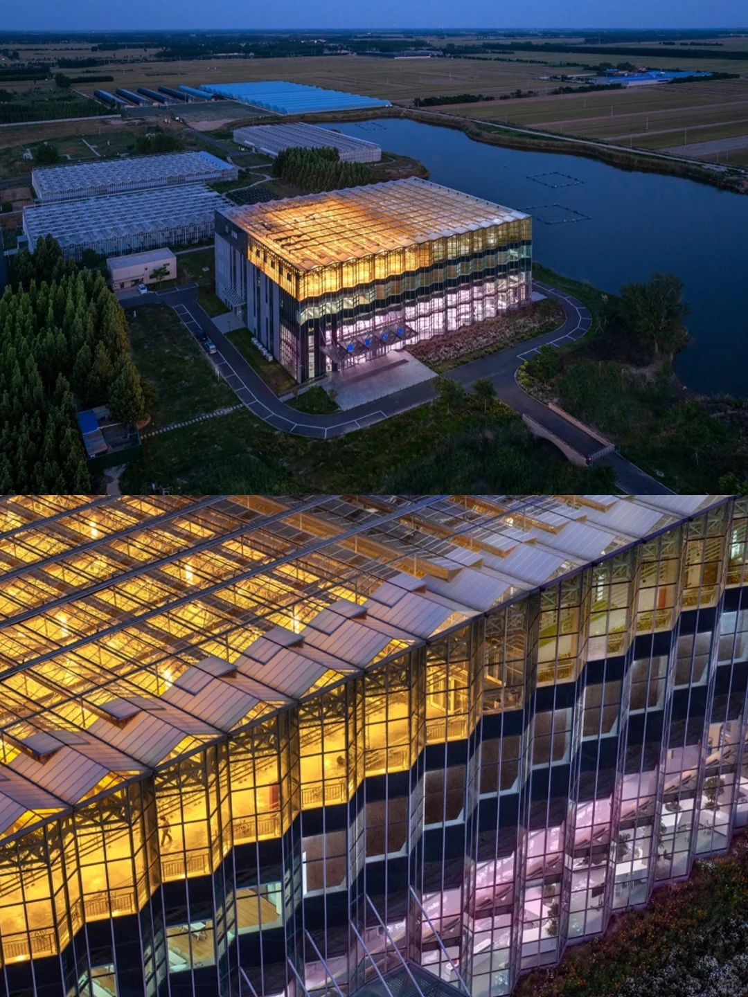 折叠玻璃立面?都市农业的未来长这样