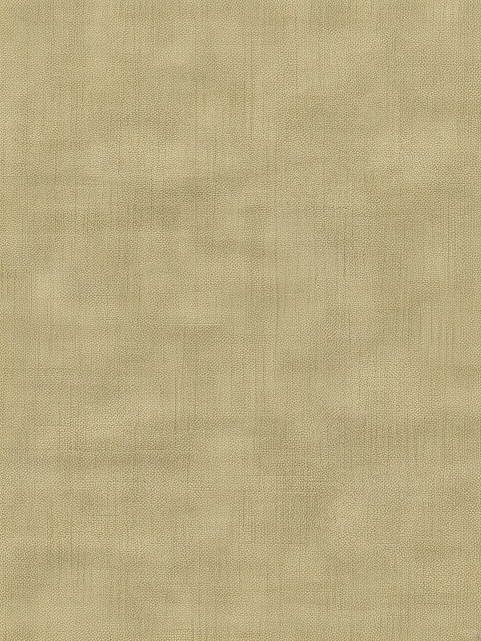 Day67｜米黄色布纹