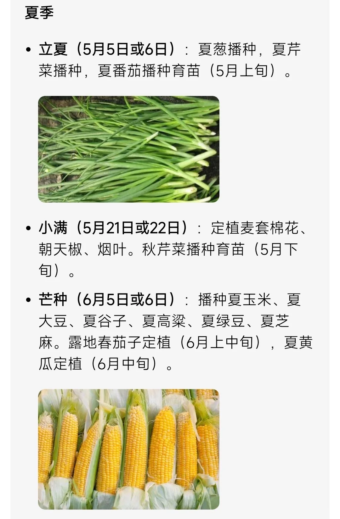 山东烟台二十四节气种菜时间