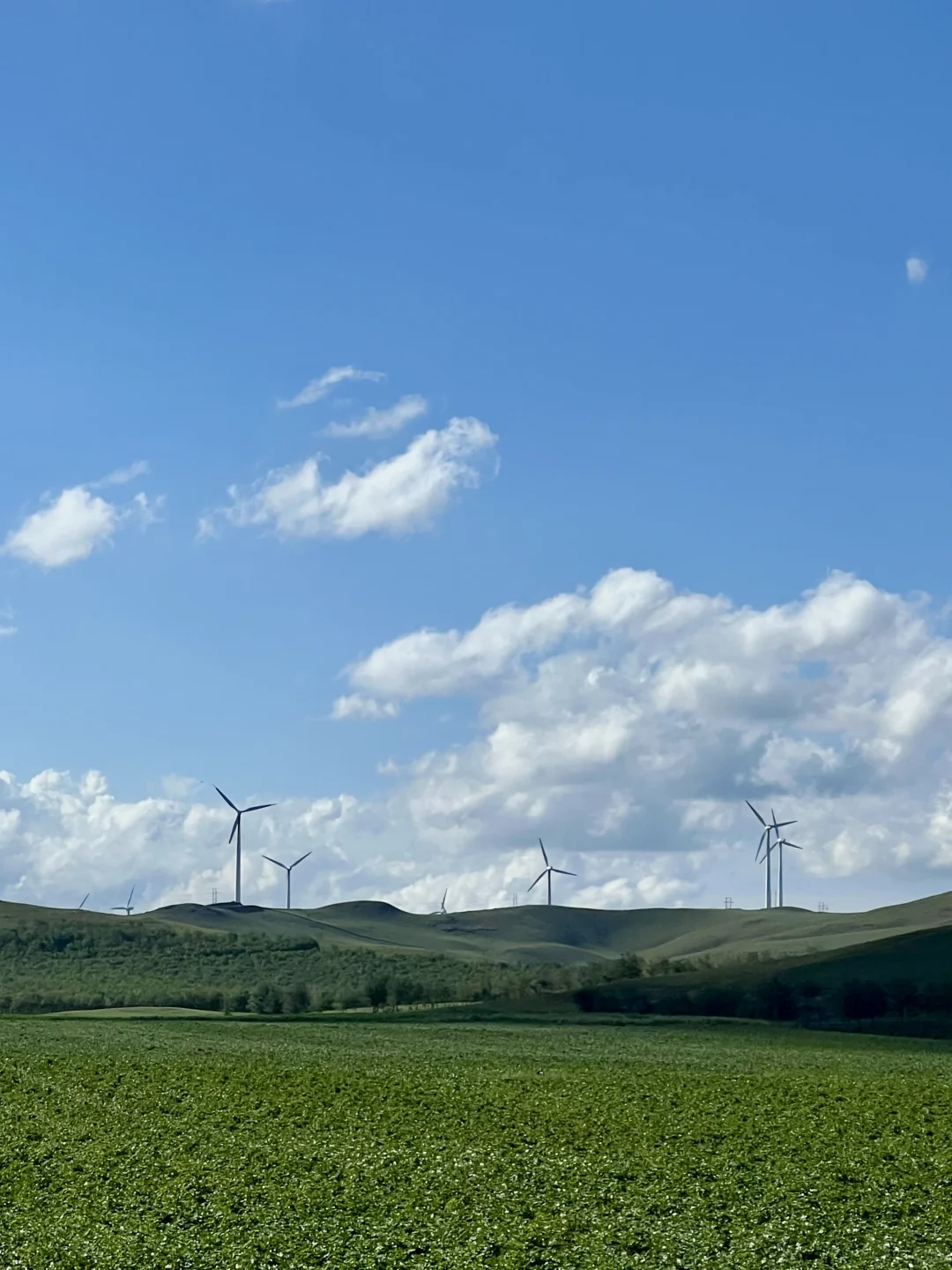 风车清楚每阵风的来意