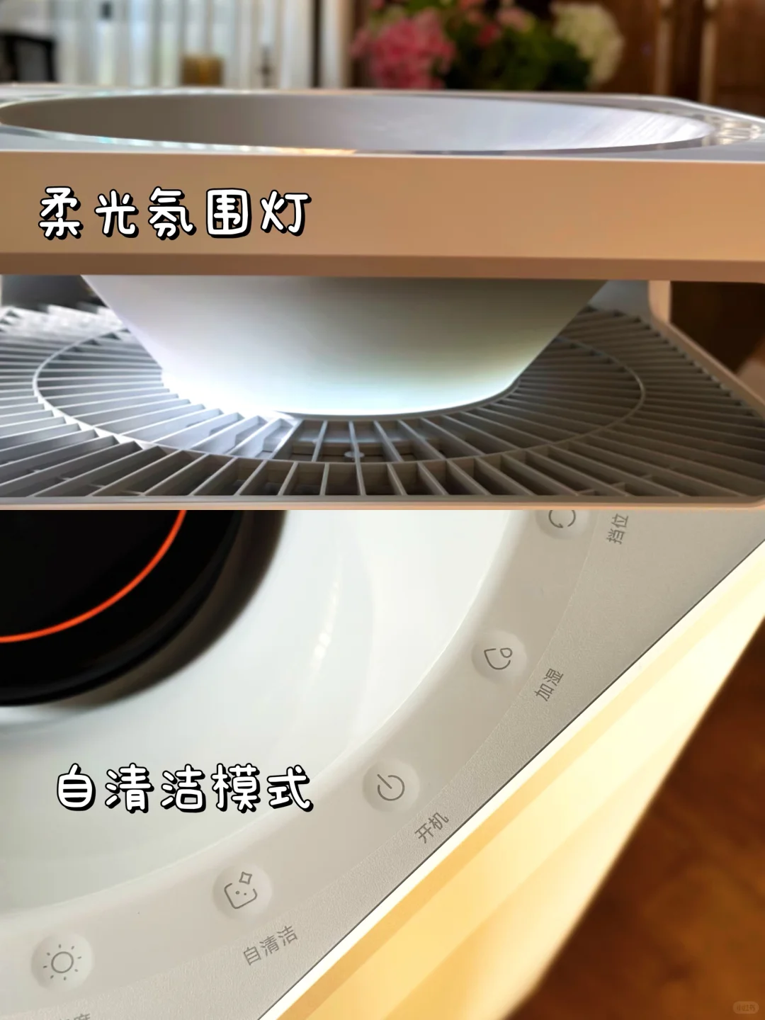 秋冬晨起喉咙干到疼?得先从空气入手