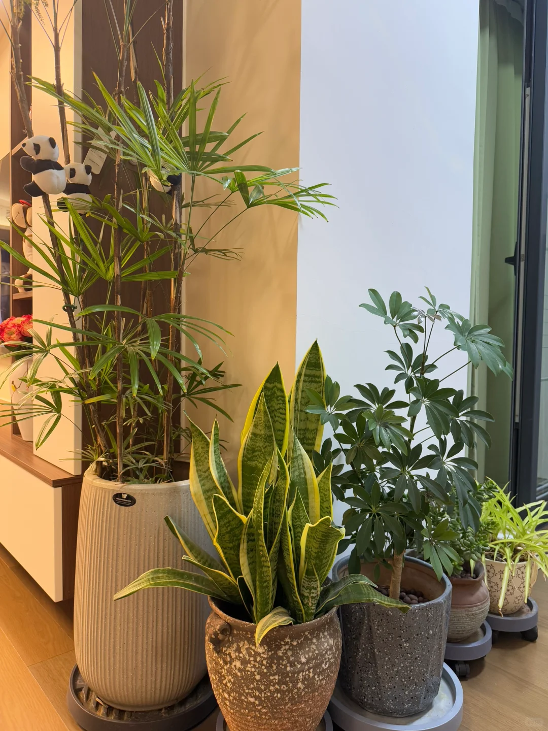 搞完卫生舒坦了，房子是载体，心安即是归处