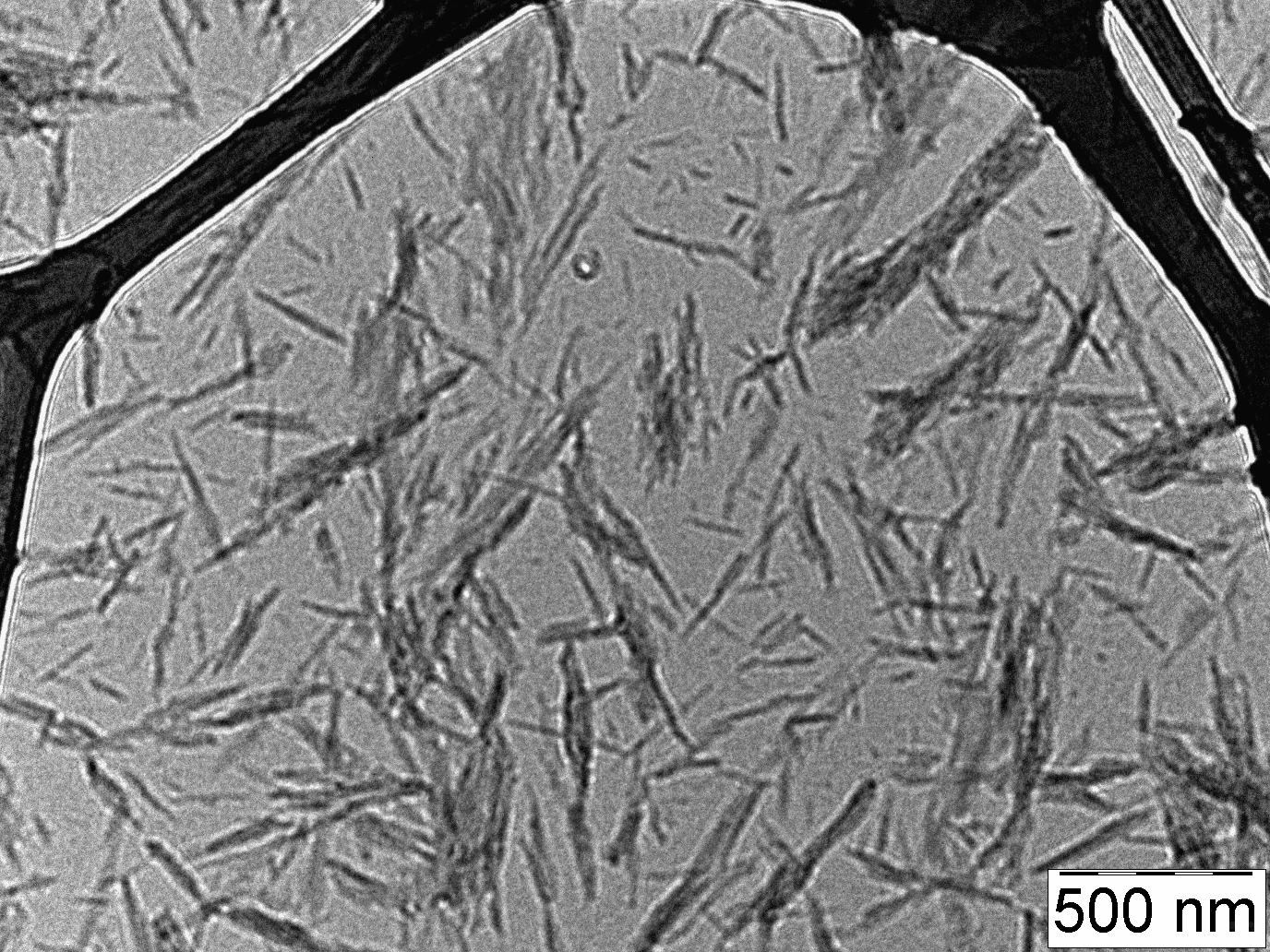 甲壳素纳米晶的功能