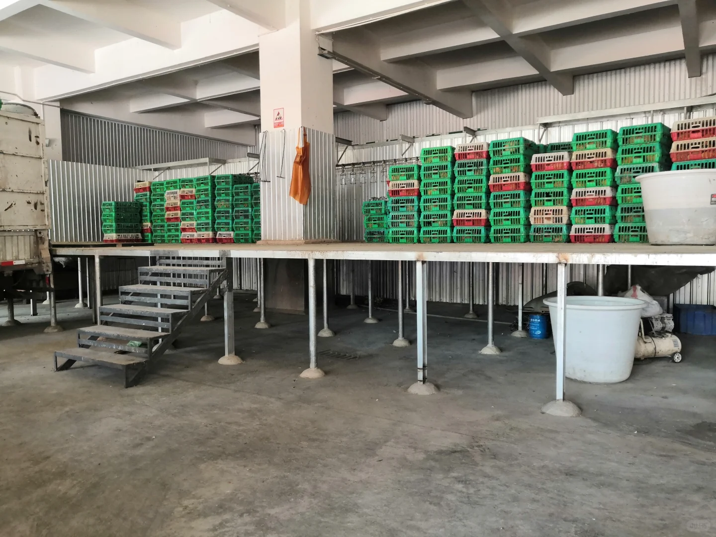 欢迎参观马杨屠宰厂,欢迎采购滇哥鸡!